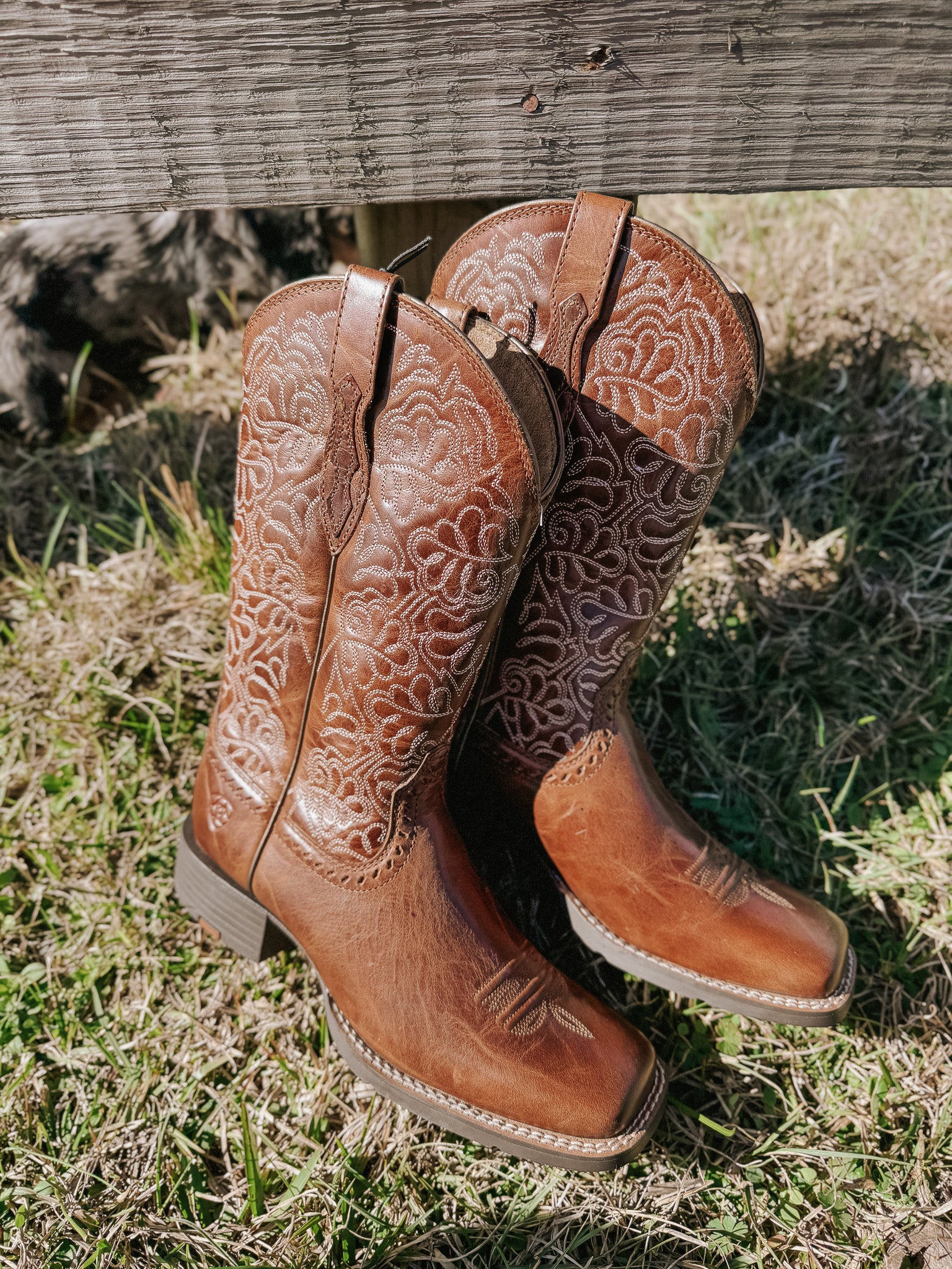 Ariat Women's Round Up Remuda Wide Square Toe Western Boots - Image 5