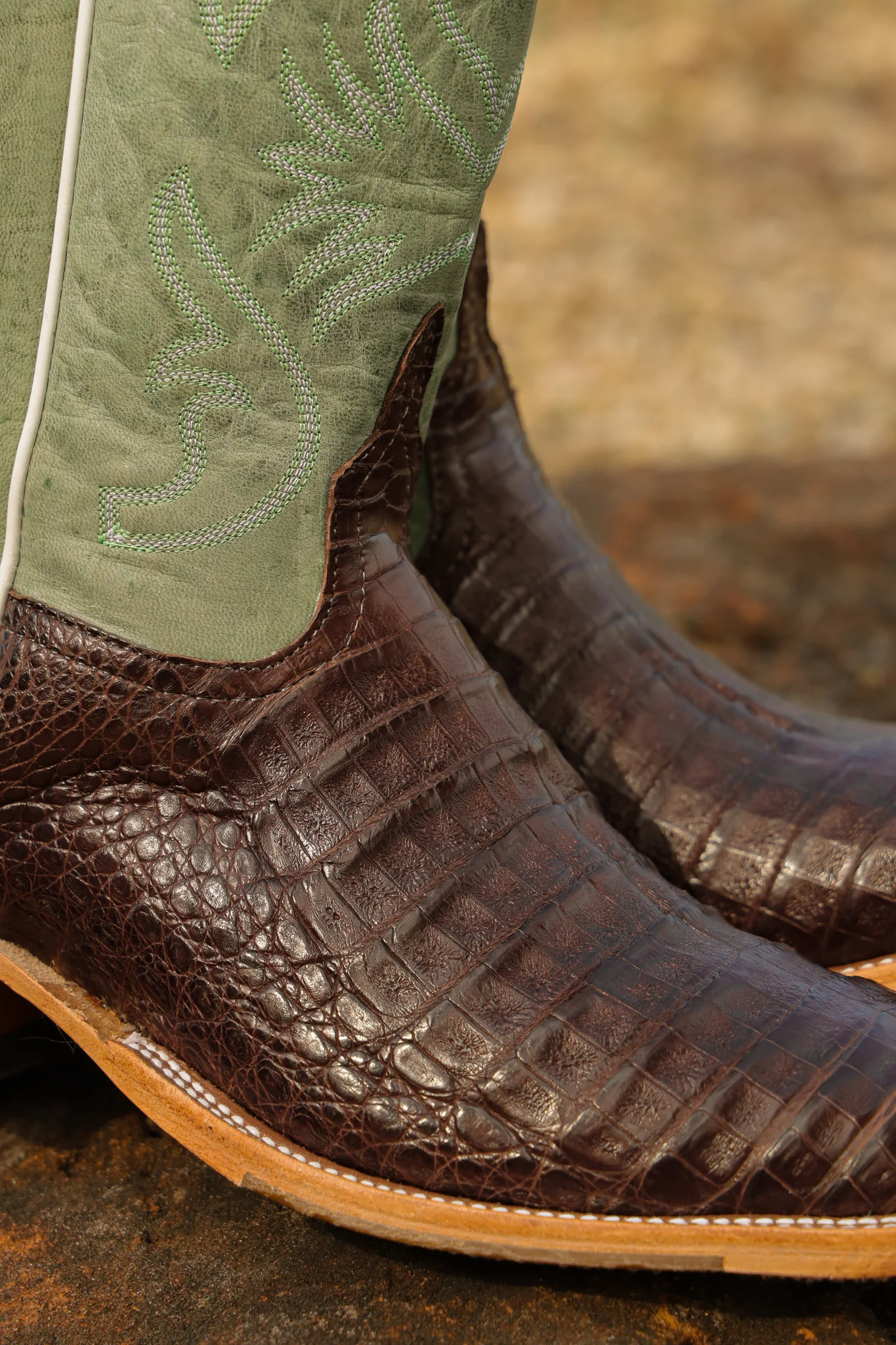 Men's Anderson Bean BC Exclusive Jade Caiman Boots - Image 4