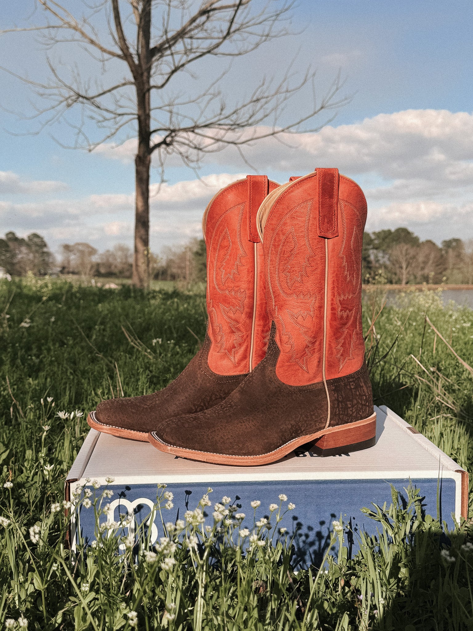 Men's Anderson Bean BC Exclusive Hungry Hippo Boots - Image 2