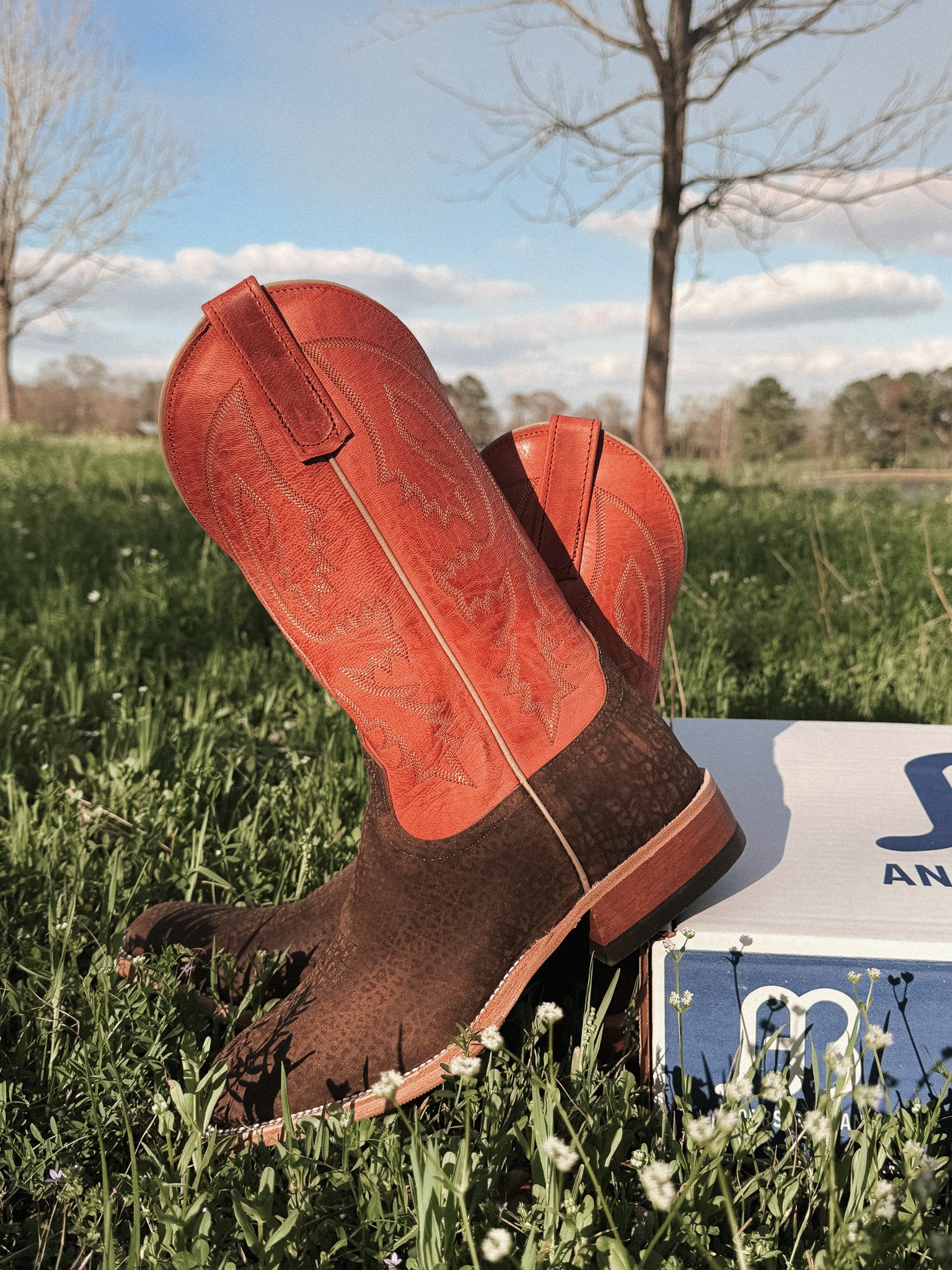 Men's Anderson Bean BC Exclusive Hungry Hippo Boots - Image 6
