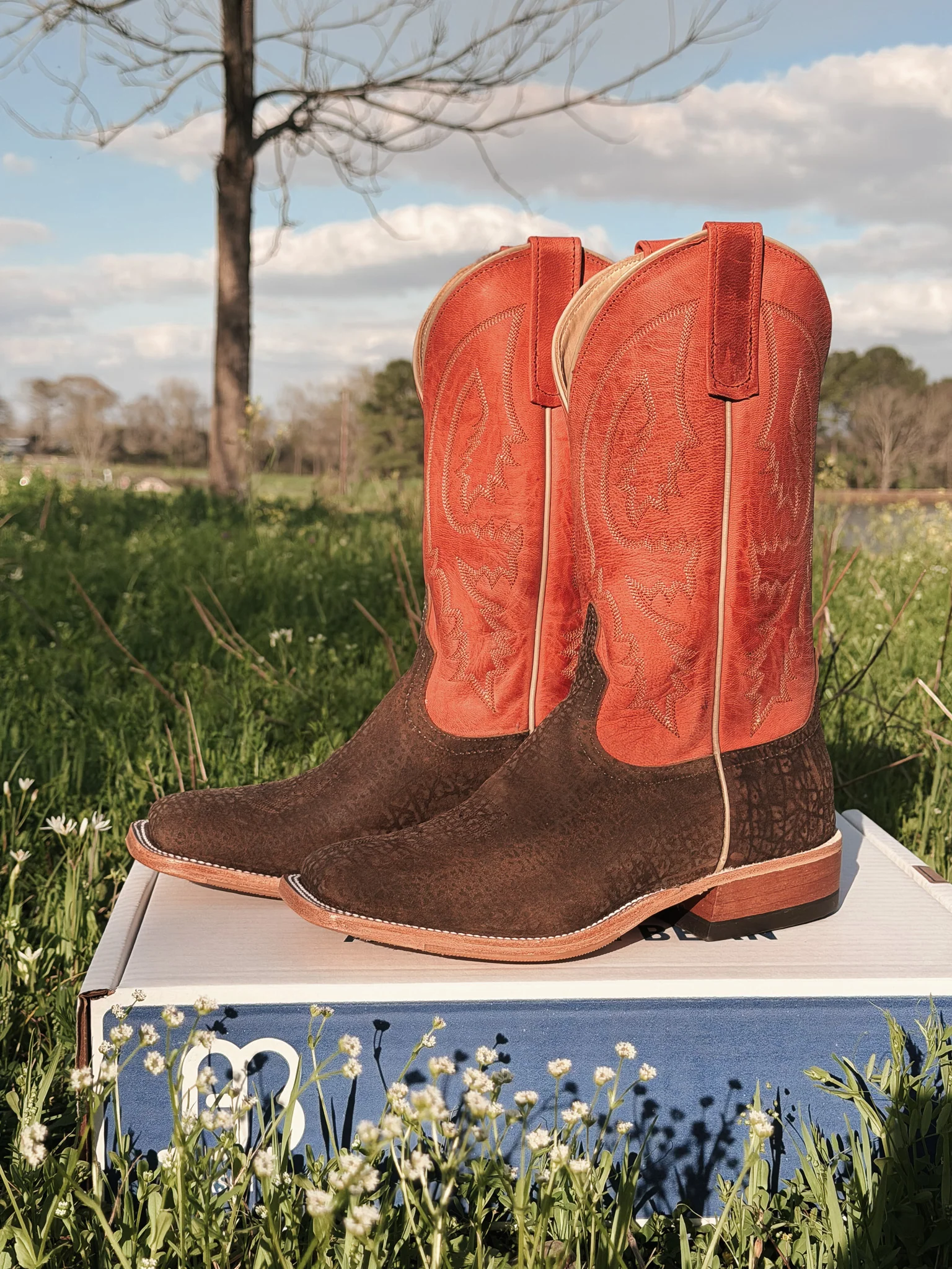 Men's Anderson Bean BC Exclusive Hungry Hippo Boots - Image 7
