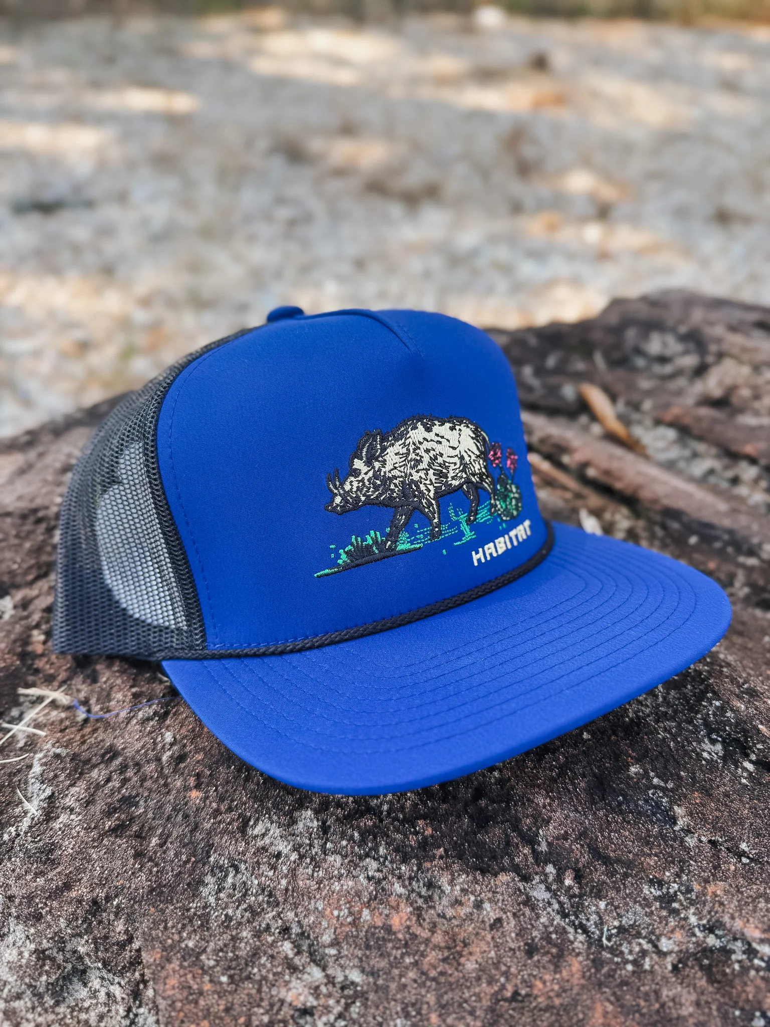 Hooey Habitat Blue Cap - Image 2