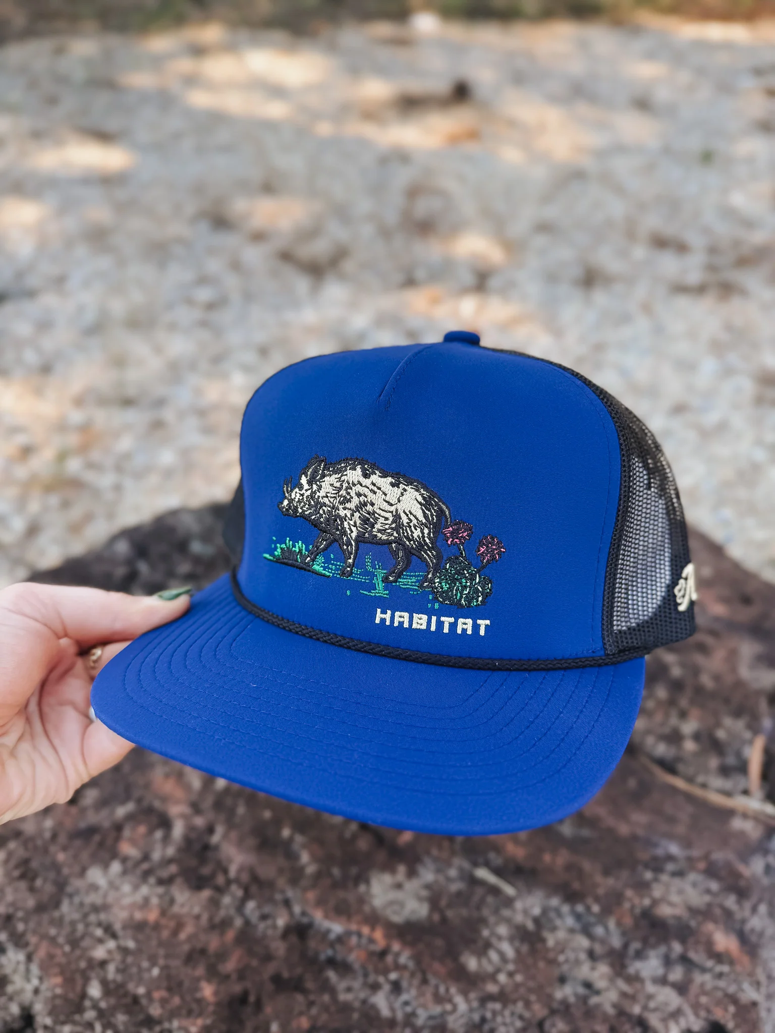Hooey Habitat Blue Cap - Image 3