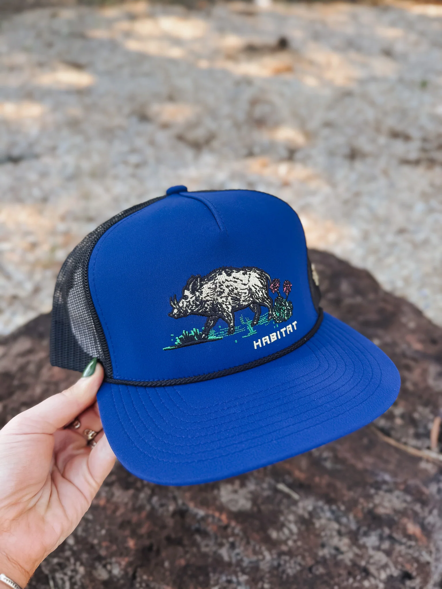 Hooey Habitat Blue Cap - Image 4