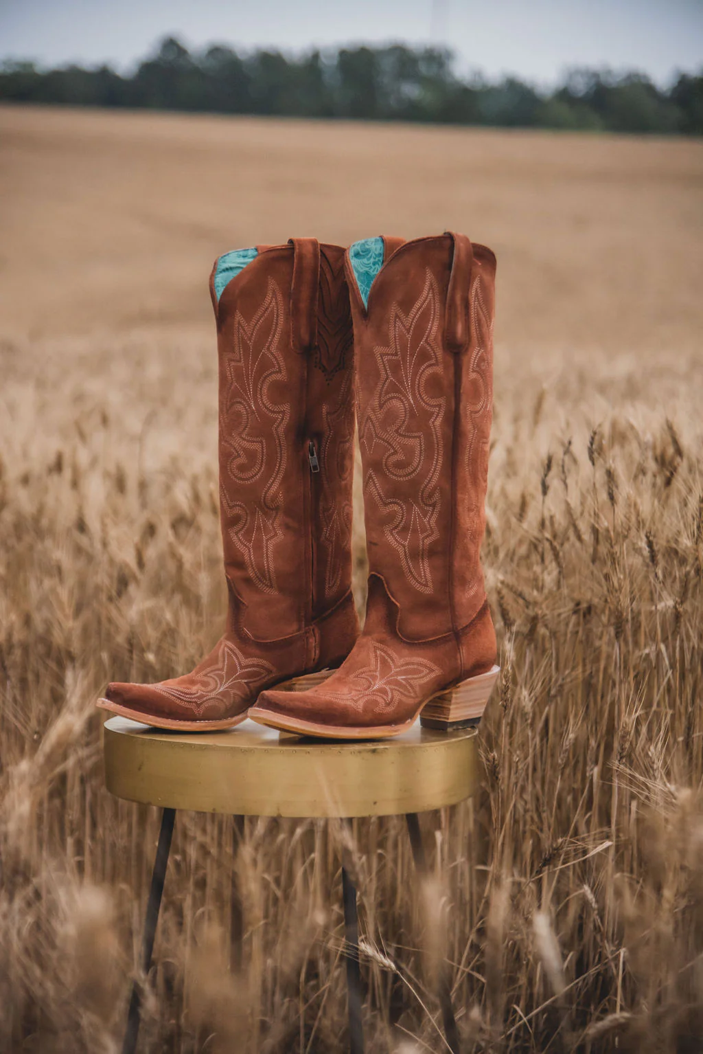 Women's Corral Shedron Suede Tall Boots - Image 3