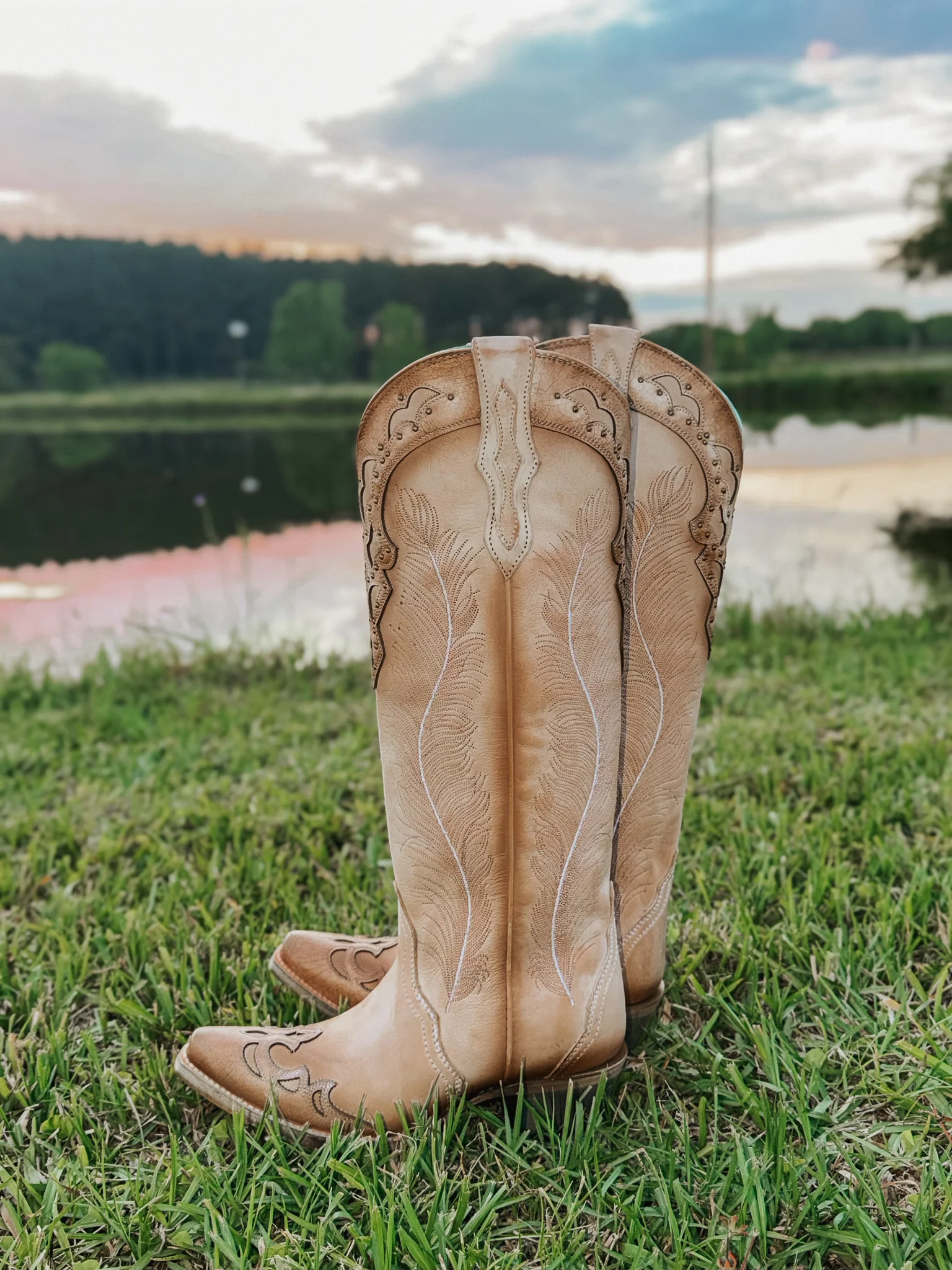 Women's Corral Feathered Embroidery Crackled Western Boot - Image 2