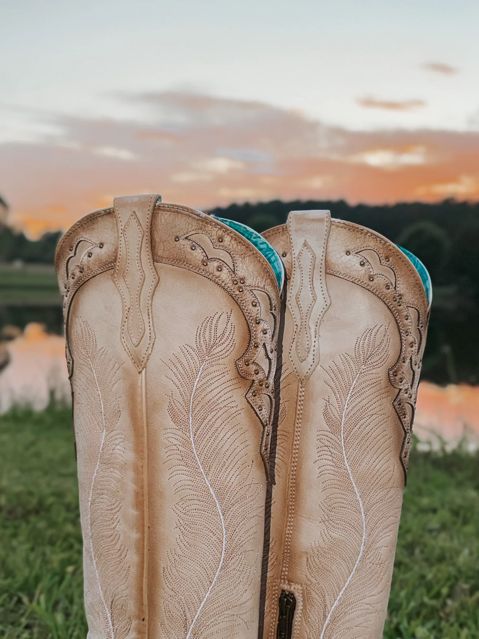 Women's Corral Feathered Embroidery Crackled Western Boot - Image 4
