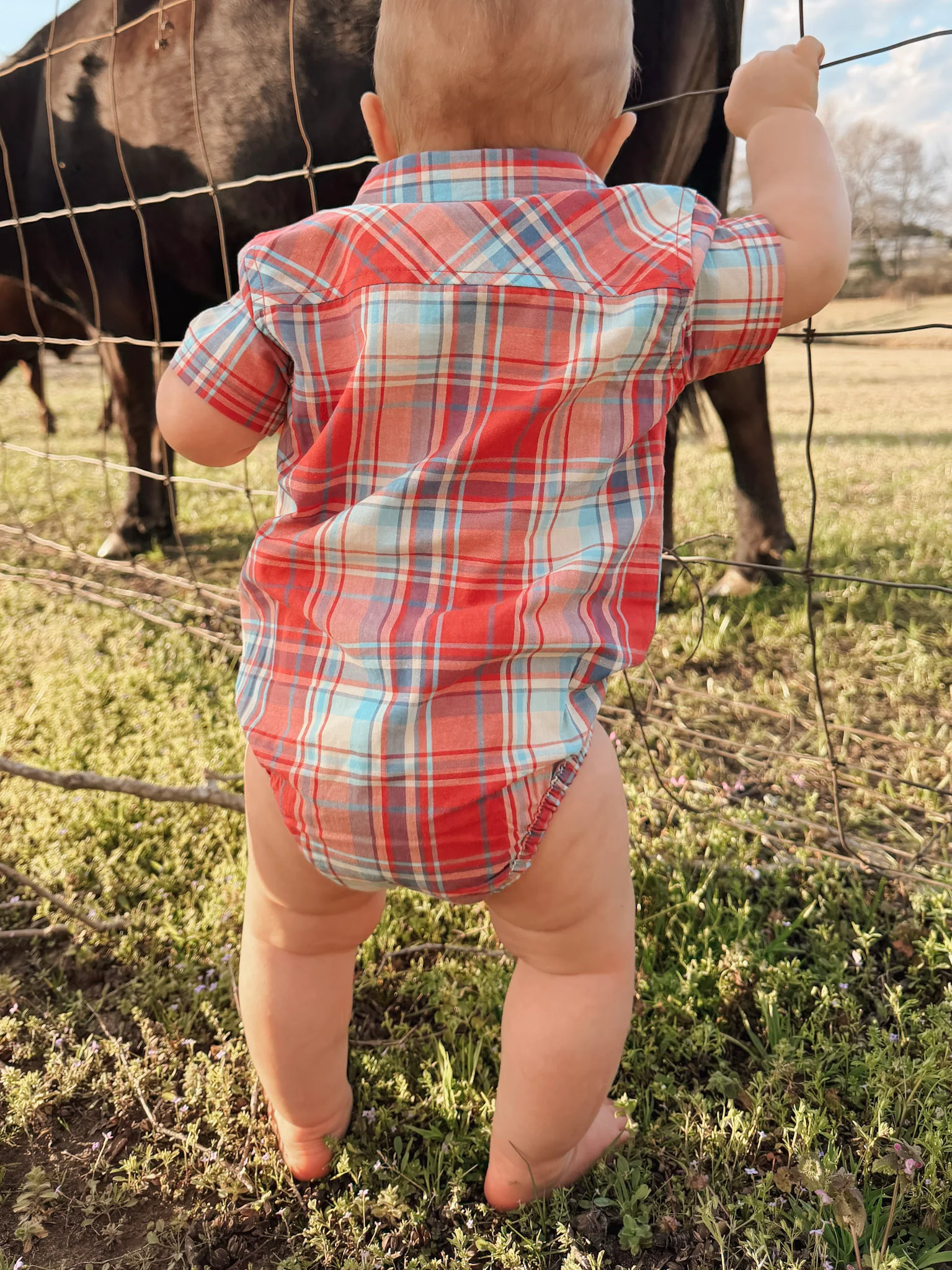 Carhartt Infant Woven Bodysuit in Red Plaid - Image 3