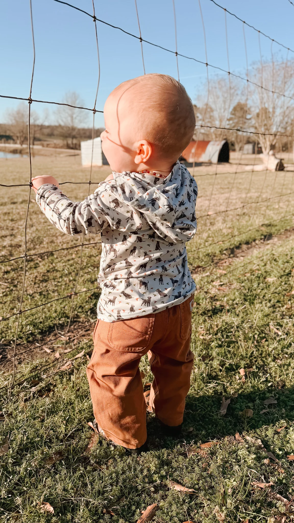 Carhartt Infant & Toddler Canvas Dungaree Pants in Carhartt Brown - Image 7