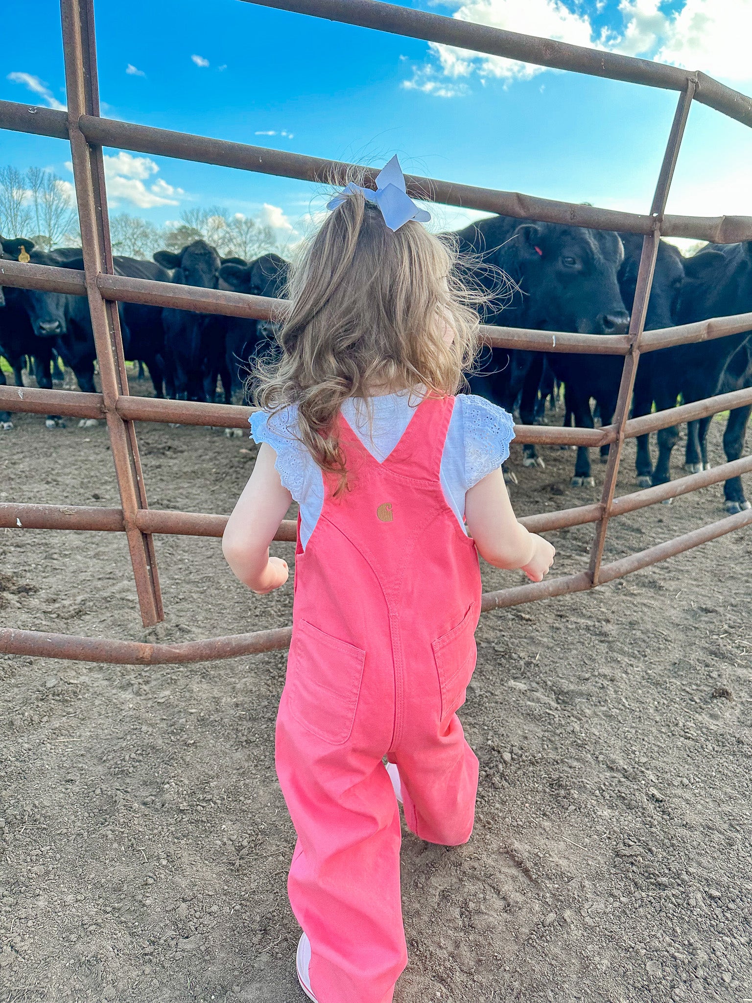 Carhartt Infant & Toddler Loose Fit Canvas Bib Overalls in Pink - Image 12