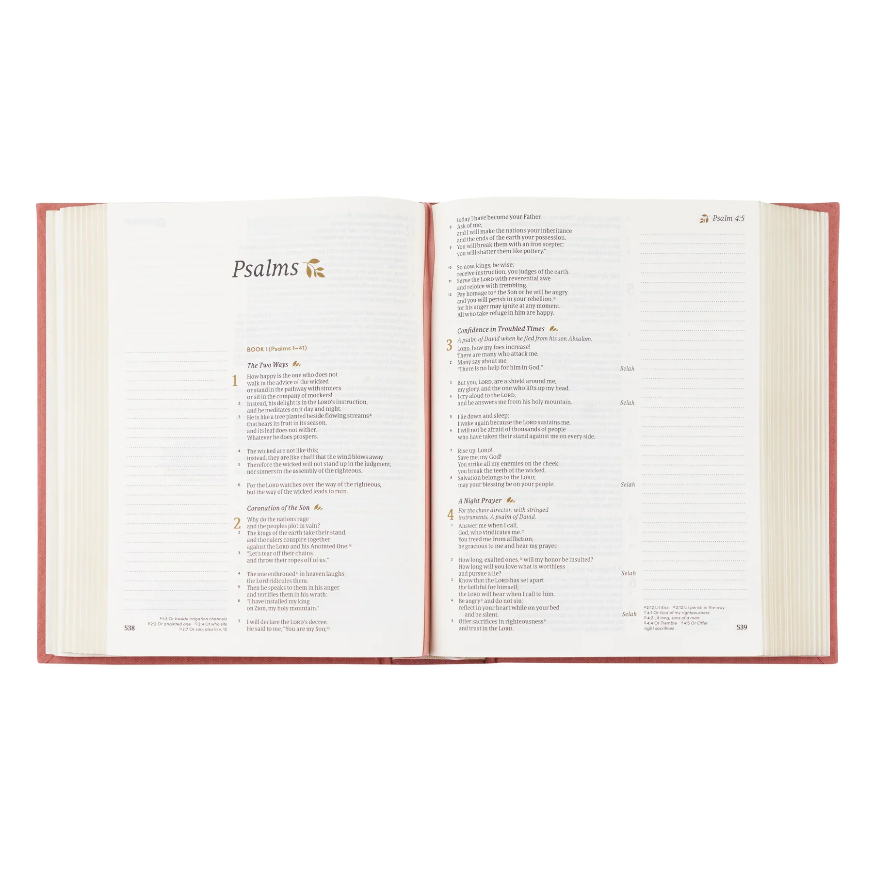 Hosanna Revival CSB Notetaking Bible: Rosedal Theme - Image 11