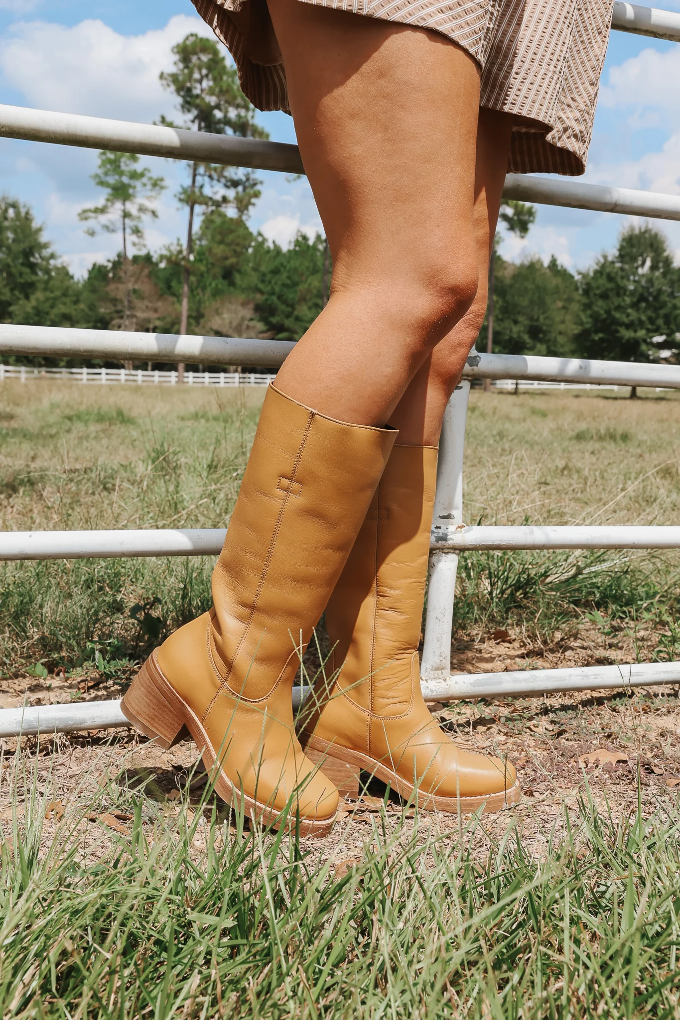Women's Dingo Vagabond Fashion Boots in Mustard - Image 3