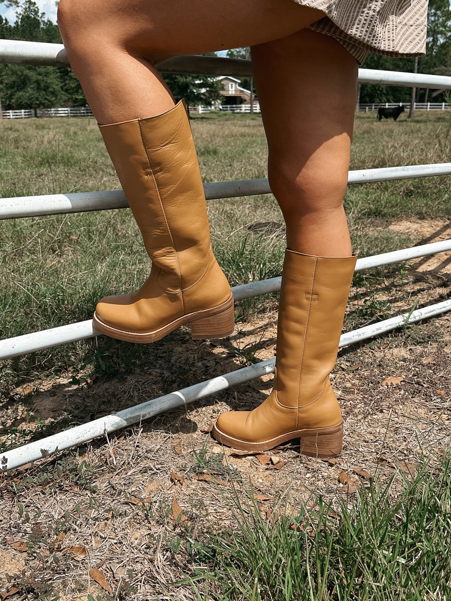 Women's Dingo Vagabond Fashion Boots in Mustard - Image 5