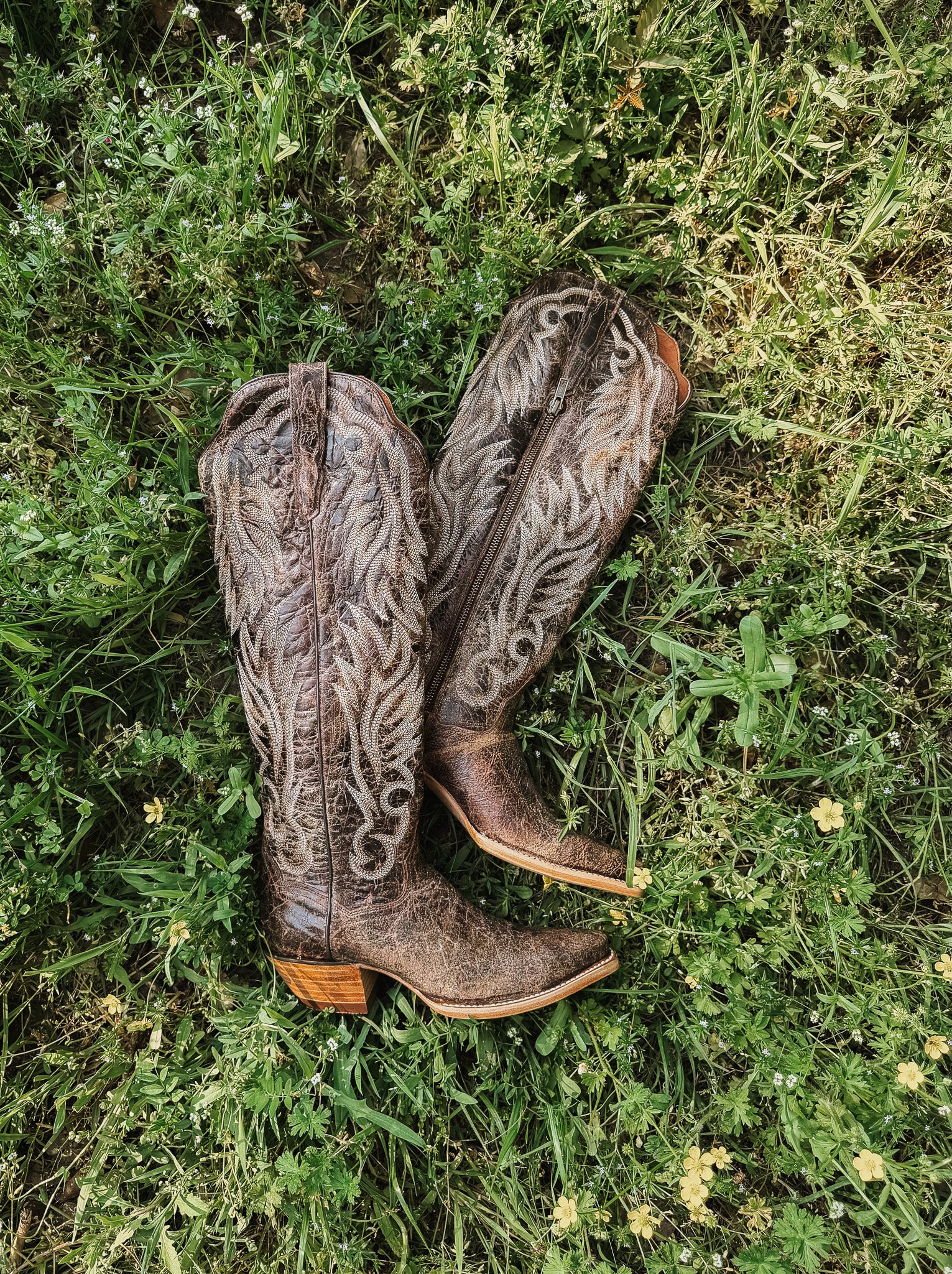 Dan Post Women's Rustic Ridge Western Boot - Image 6