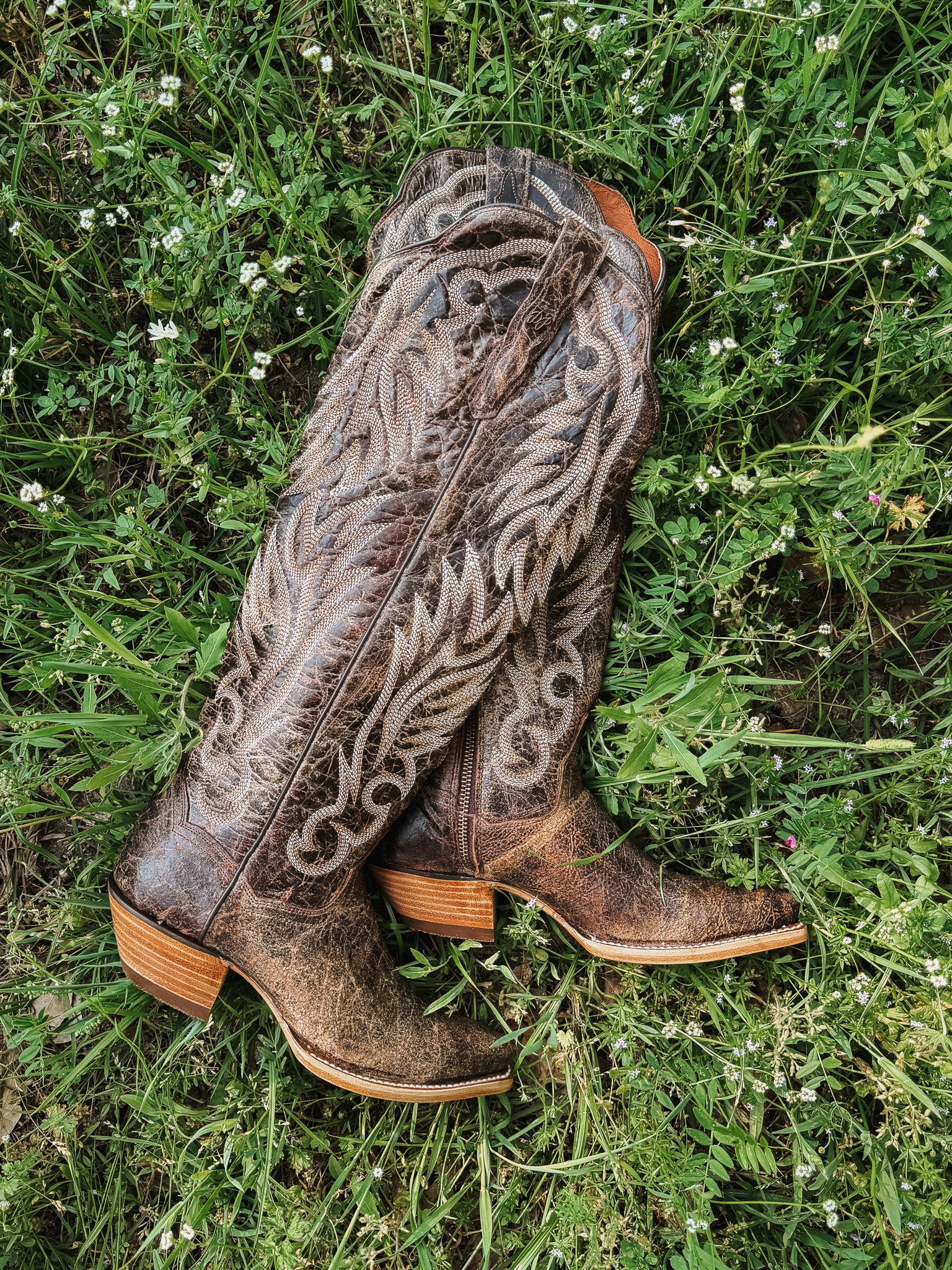 Dan Post Women's Rustic Ridge Western Boot - Image 7