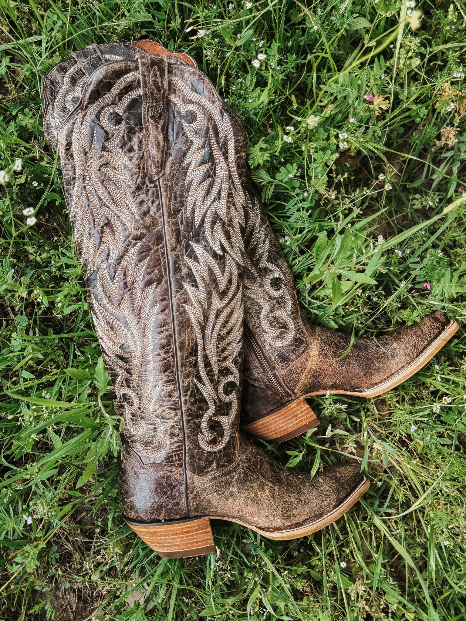 Dan Post Women's Rustic Ridge Western Boot - Image 8