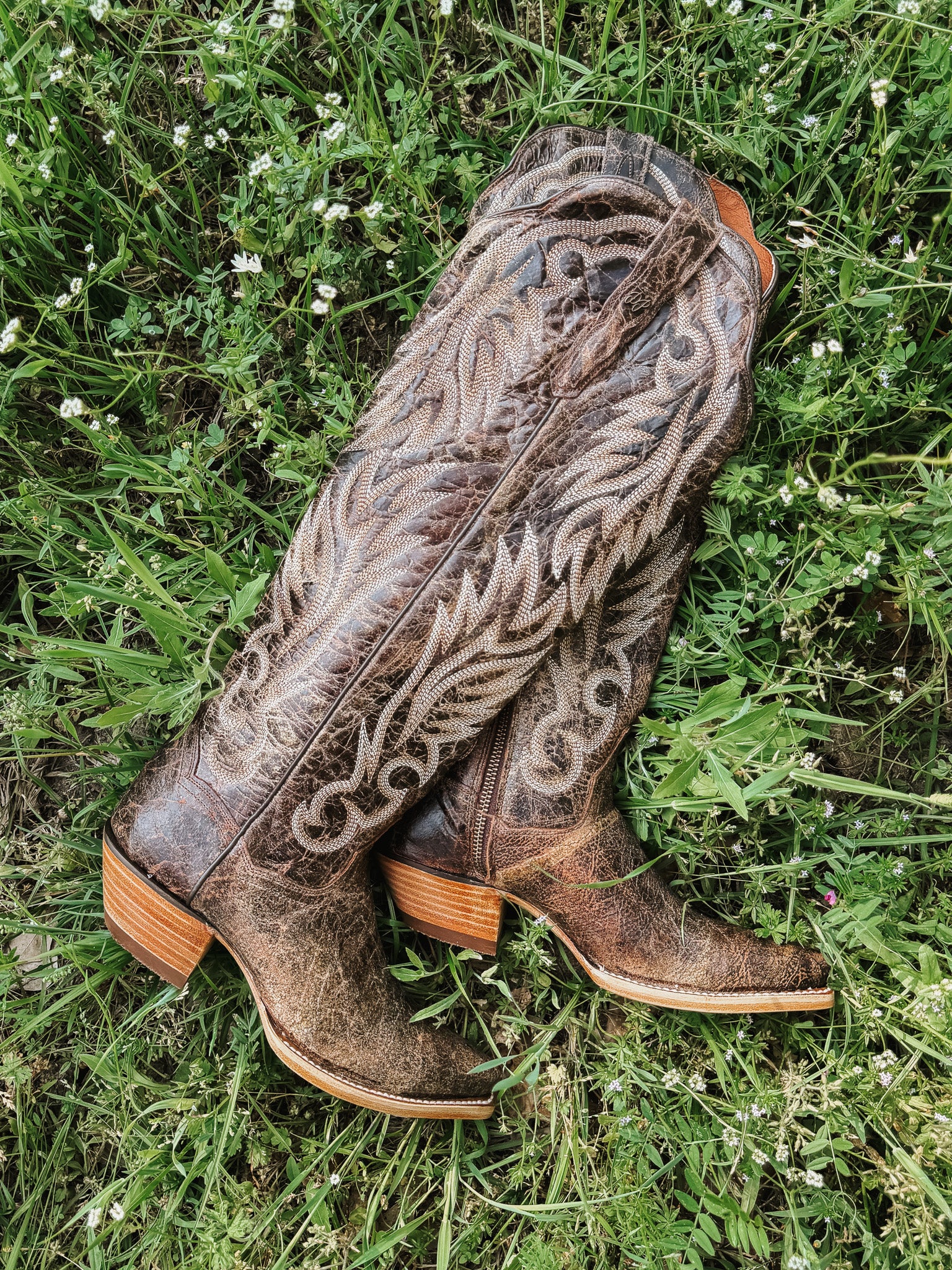 Dan Post Women's Rustic Ridge Western Boot - Image 9