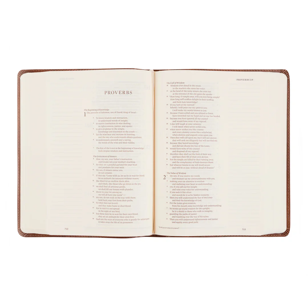 Hosanna Revival ESV Journaling Bible: Westminster Theme - Image 3