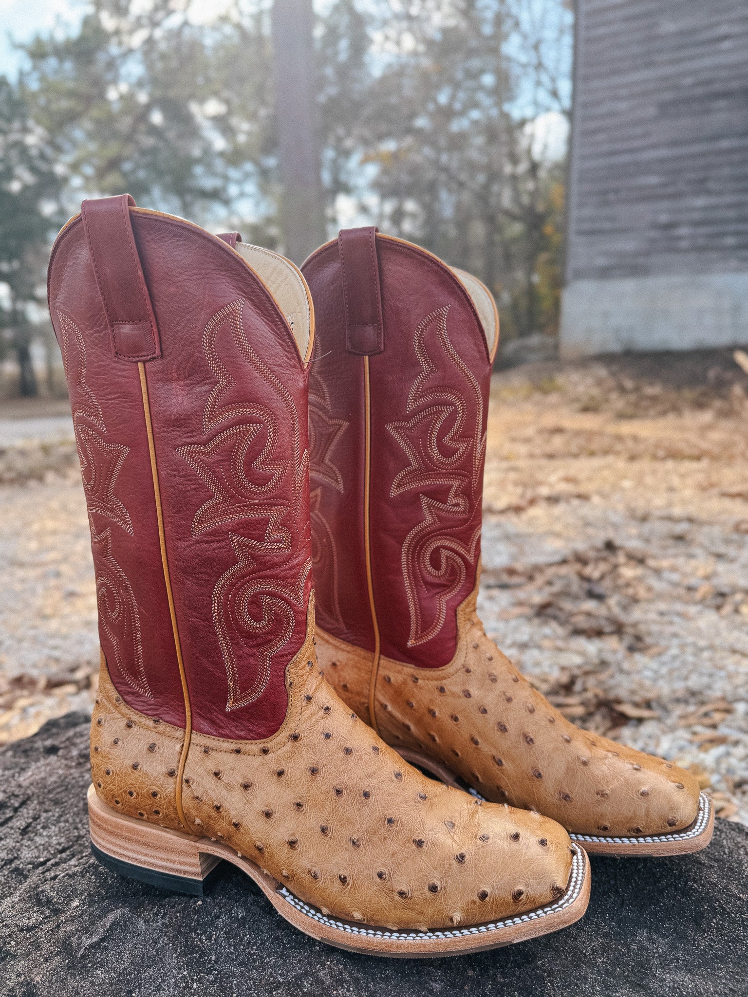 Men's Horse Power Red Station Antique Saddle Full Quill Ostrich Boots - Image 14