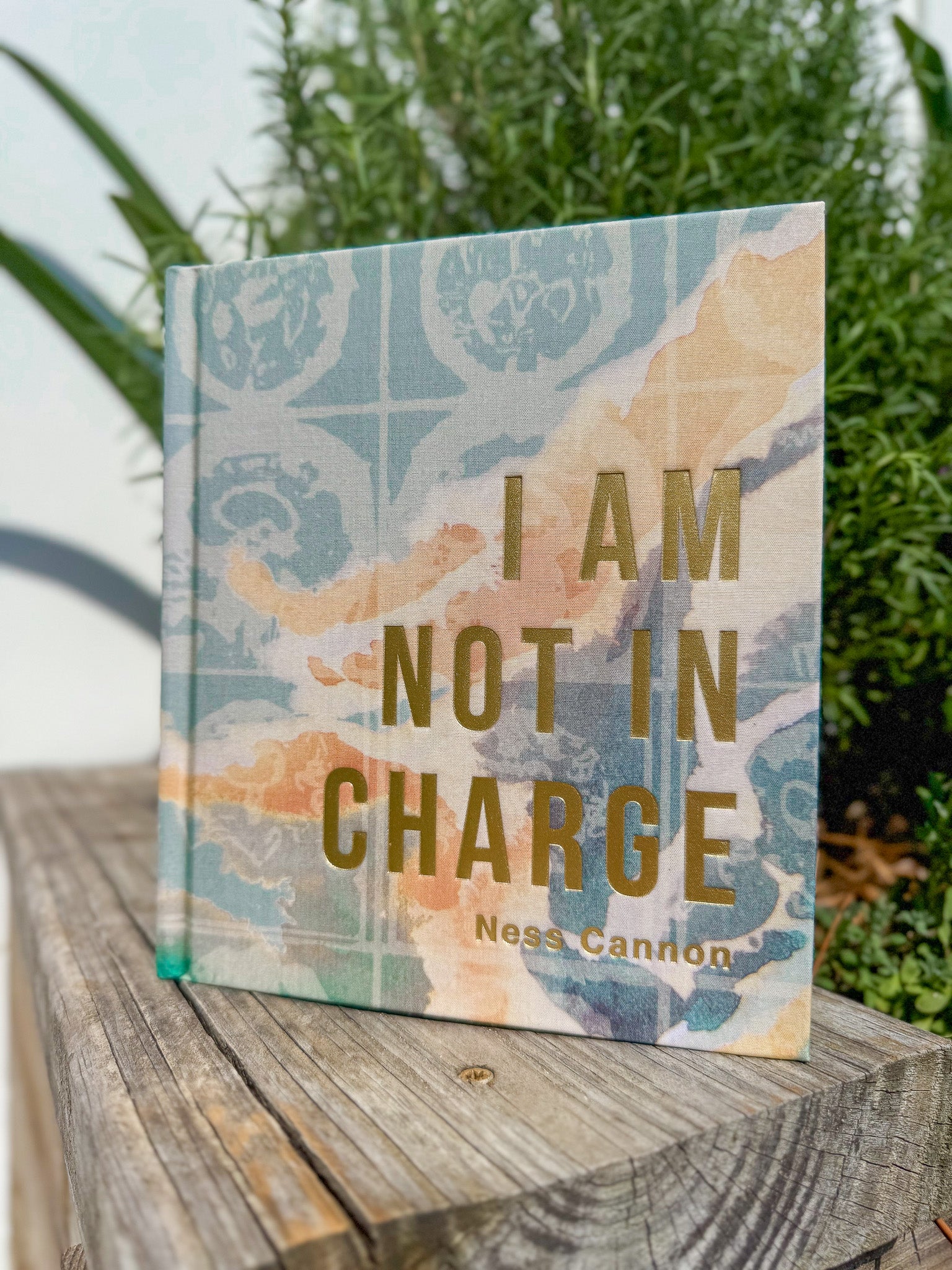 Hosanna Revival I Am Not In Charge Study Book - Image 19