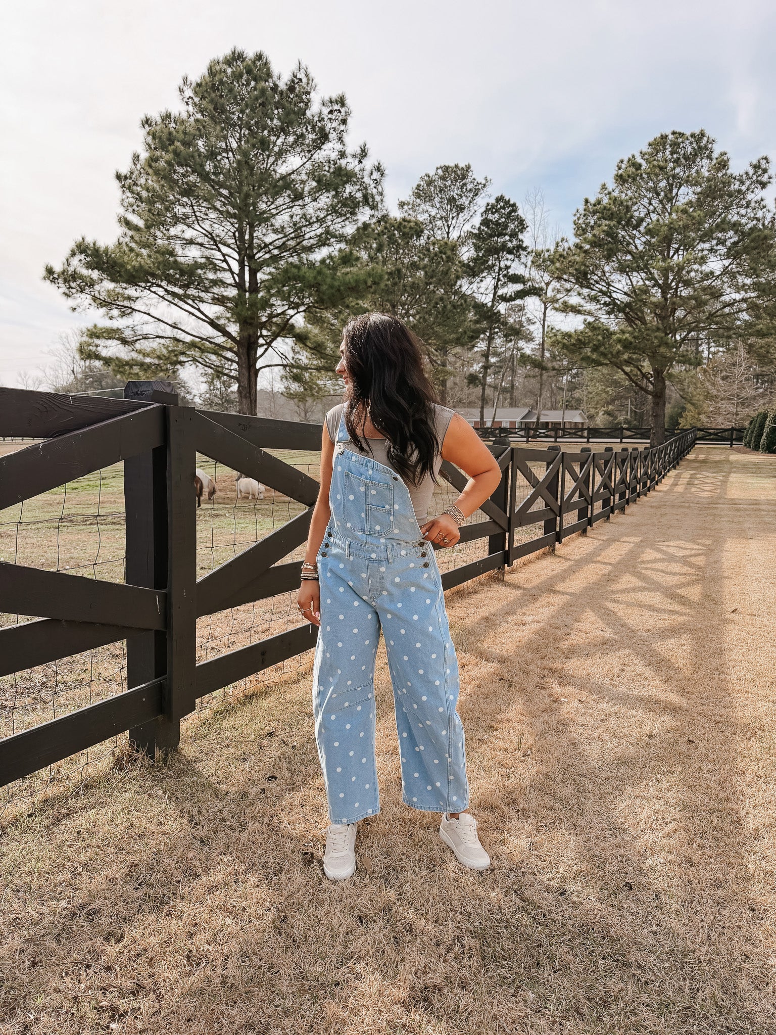 Southern Charm Denim Overalls - Image 3