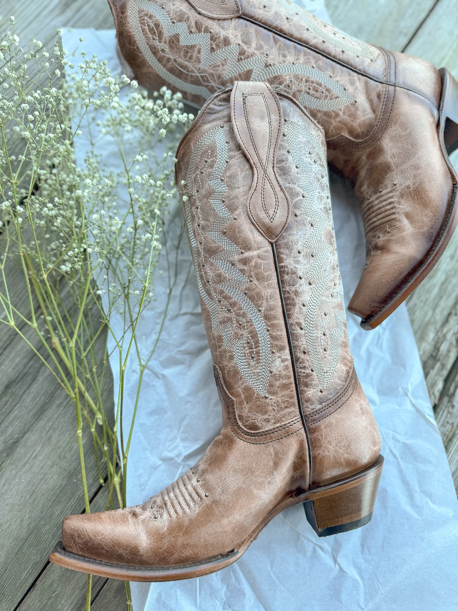 Circle G by Corral Ladies Embroidery & Studs Brown Boots - Image 5