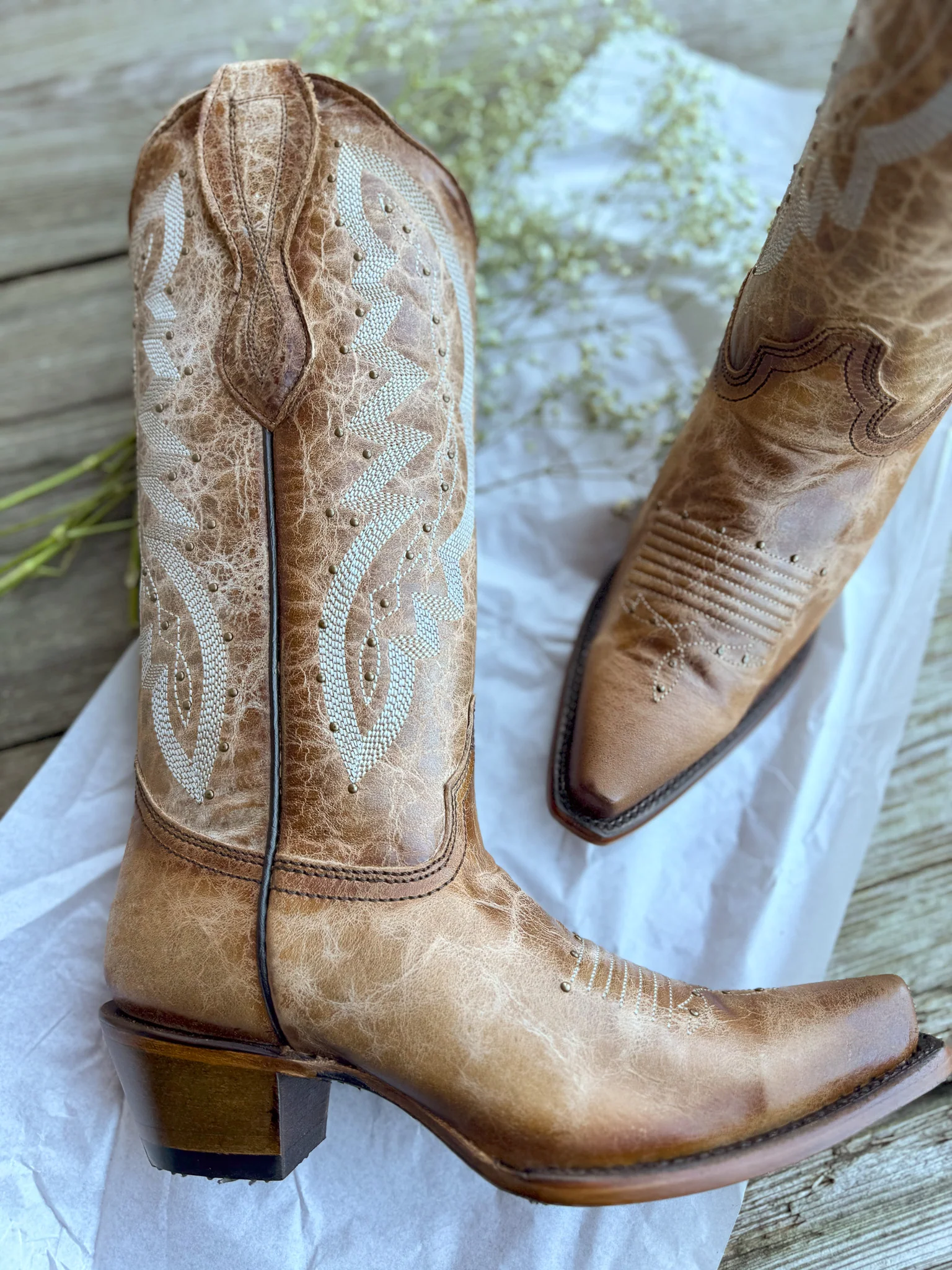 Circle G by Corral Ladies Embroidery & Studs Brown Boots - Image 6