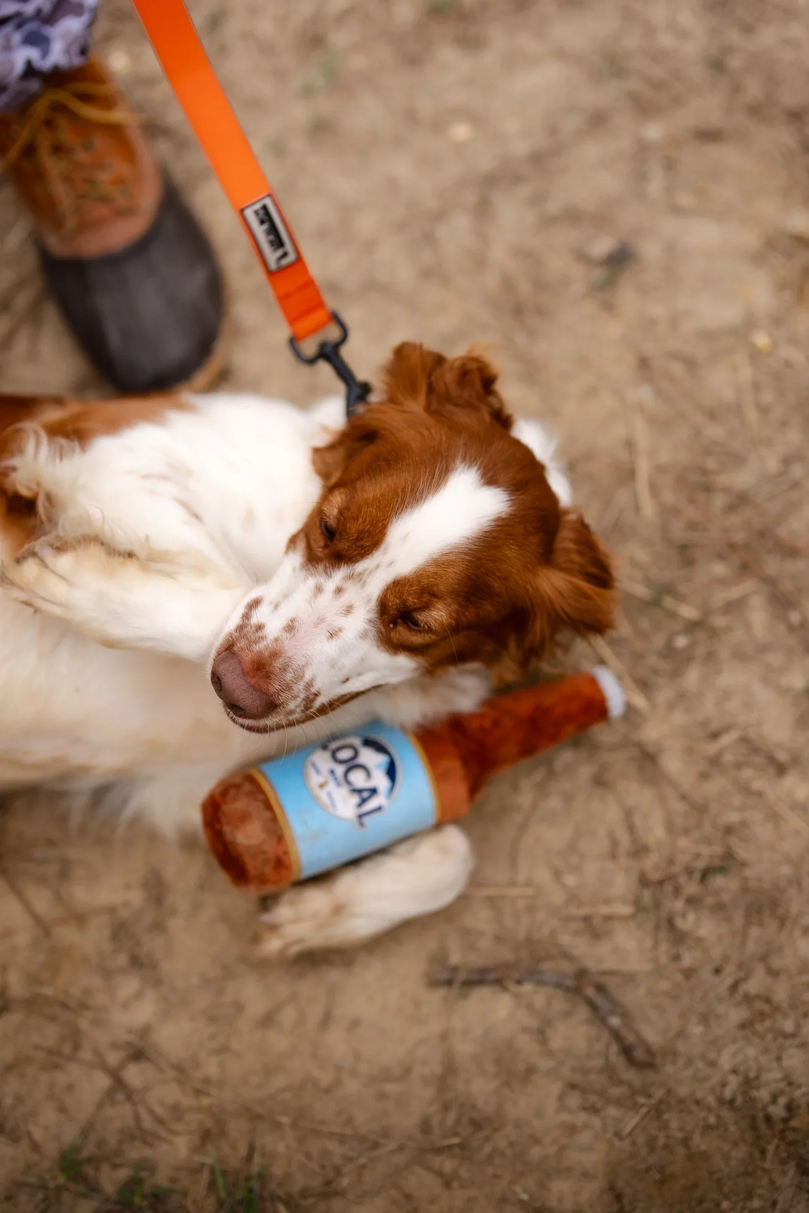 Local Boy Busch Latte Bottle Dog Toy - Image 2