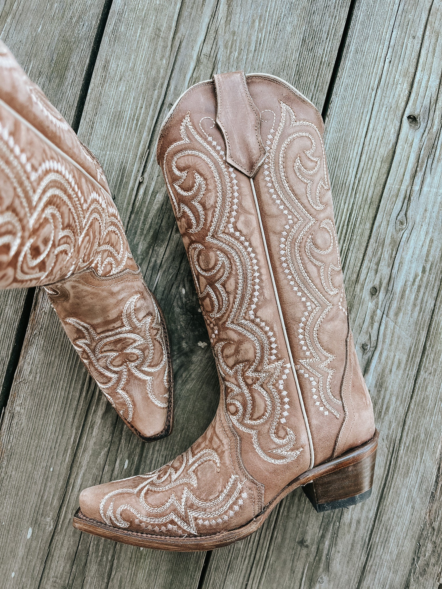 WOMEN'S CIRCLE G BY CORRAL BROWN SEQUENCE EMBROIDERY BOOTS - Image 15