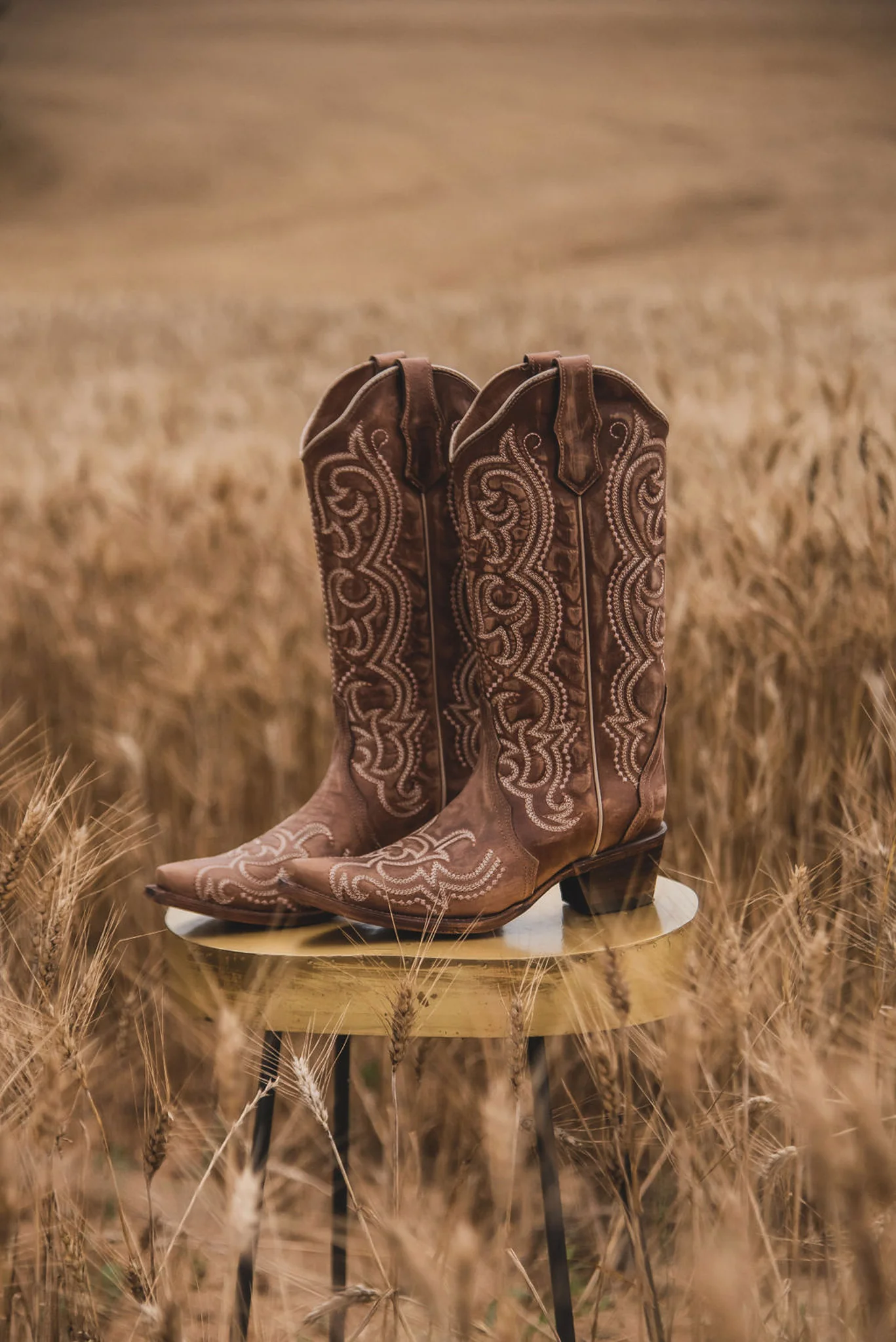 WOMEN'S CIRCLE G BY CORRAL BROWN SEQUENCE EMBROIDERY BOOTS - Image 4