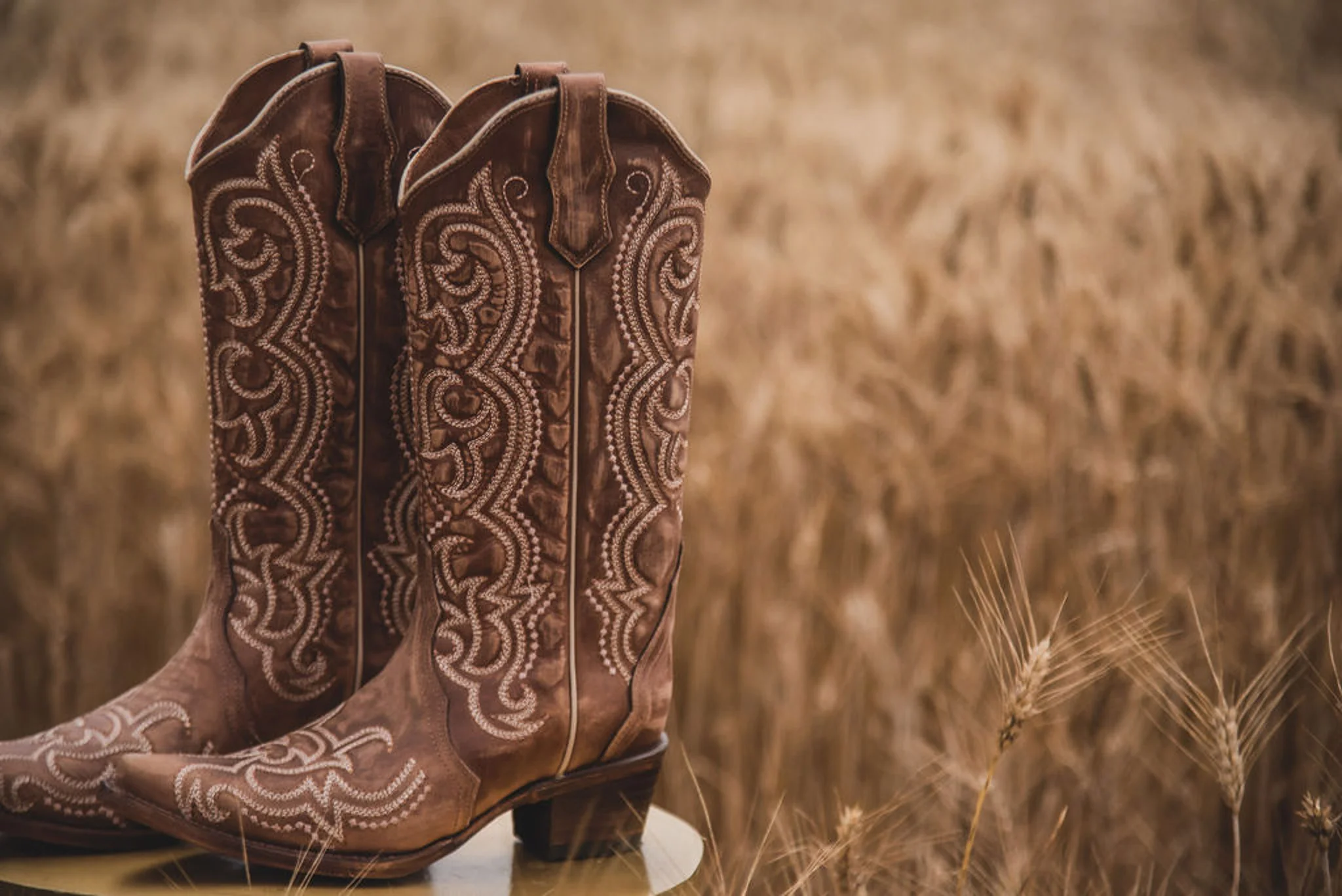WOMEN'S CIRCLE G BY CORRAL BROWN SEQUENCE EMBROIDERY BOOTS - Image 5