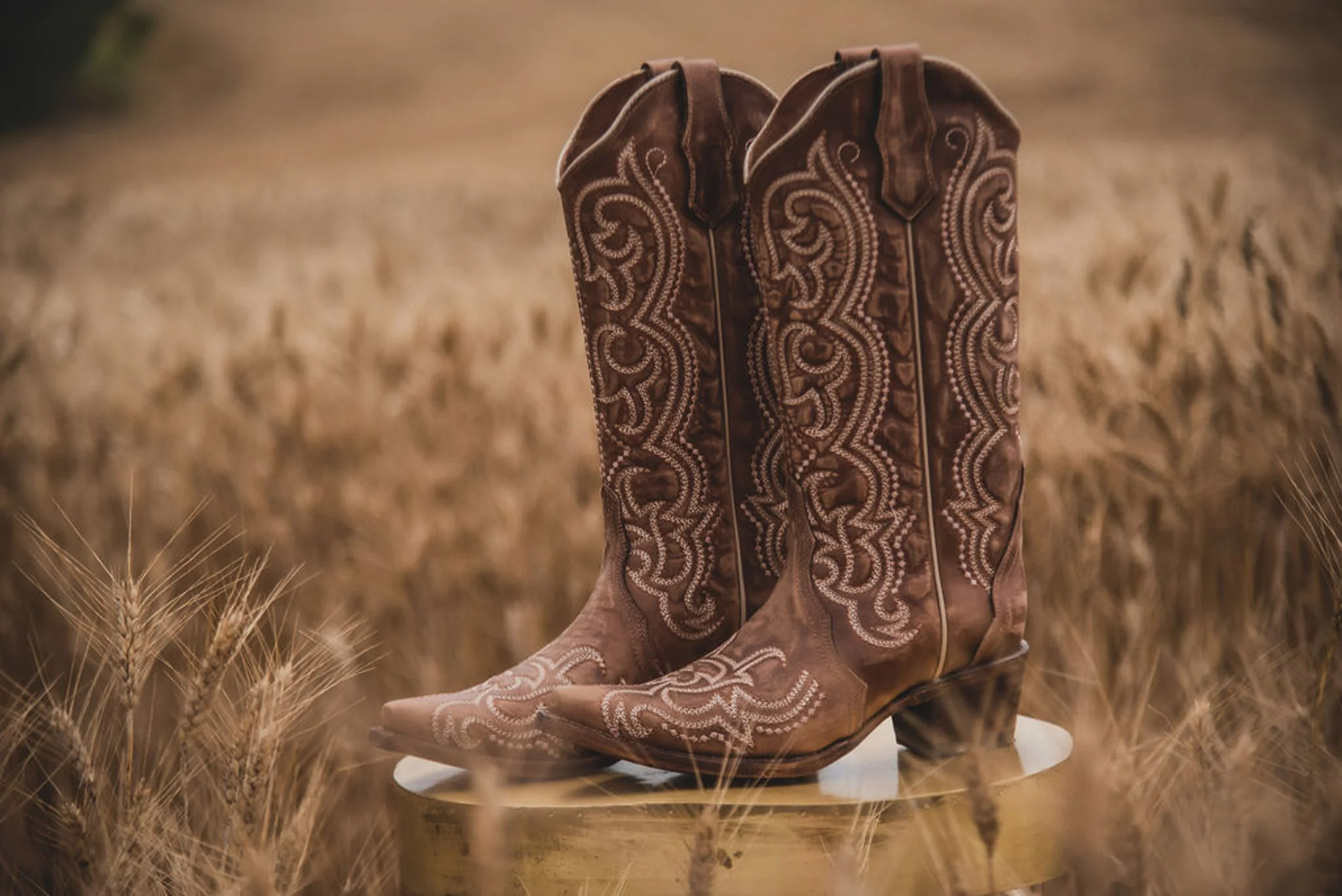 WOMEN'S CIRCLE G BY CORRAL BROWN SEQUENCE EMBROIDERY BOOTS - Image 6