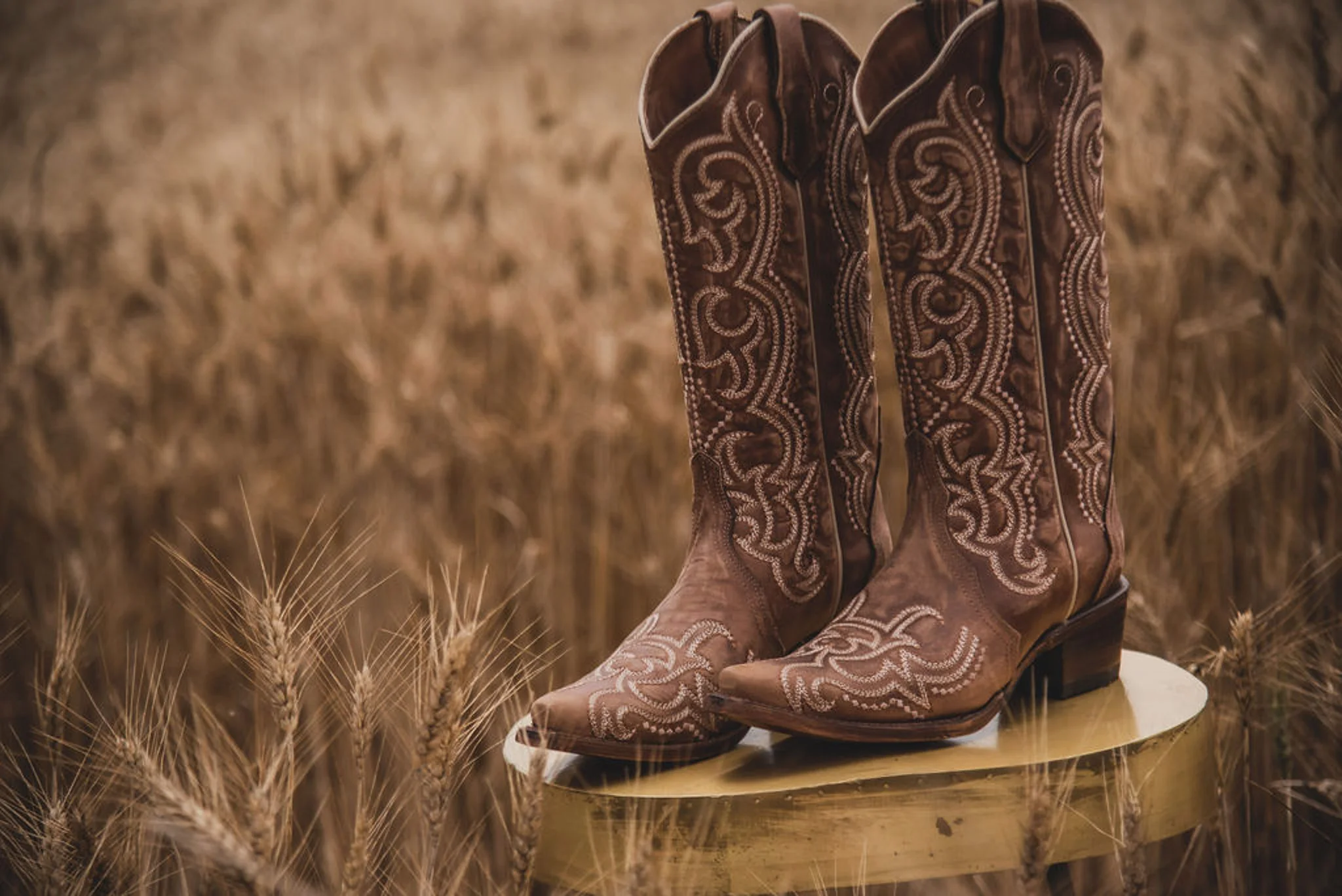 WOMEN'S CIRCLE G BY CORRAL BROWN SEQUENCE EMBROIDERY BOOTS - Image 7
