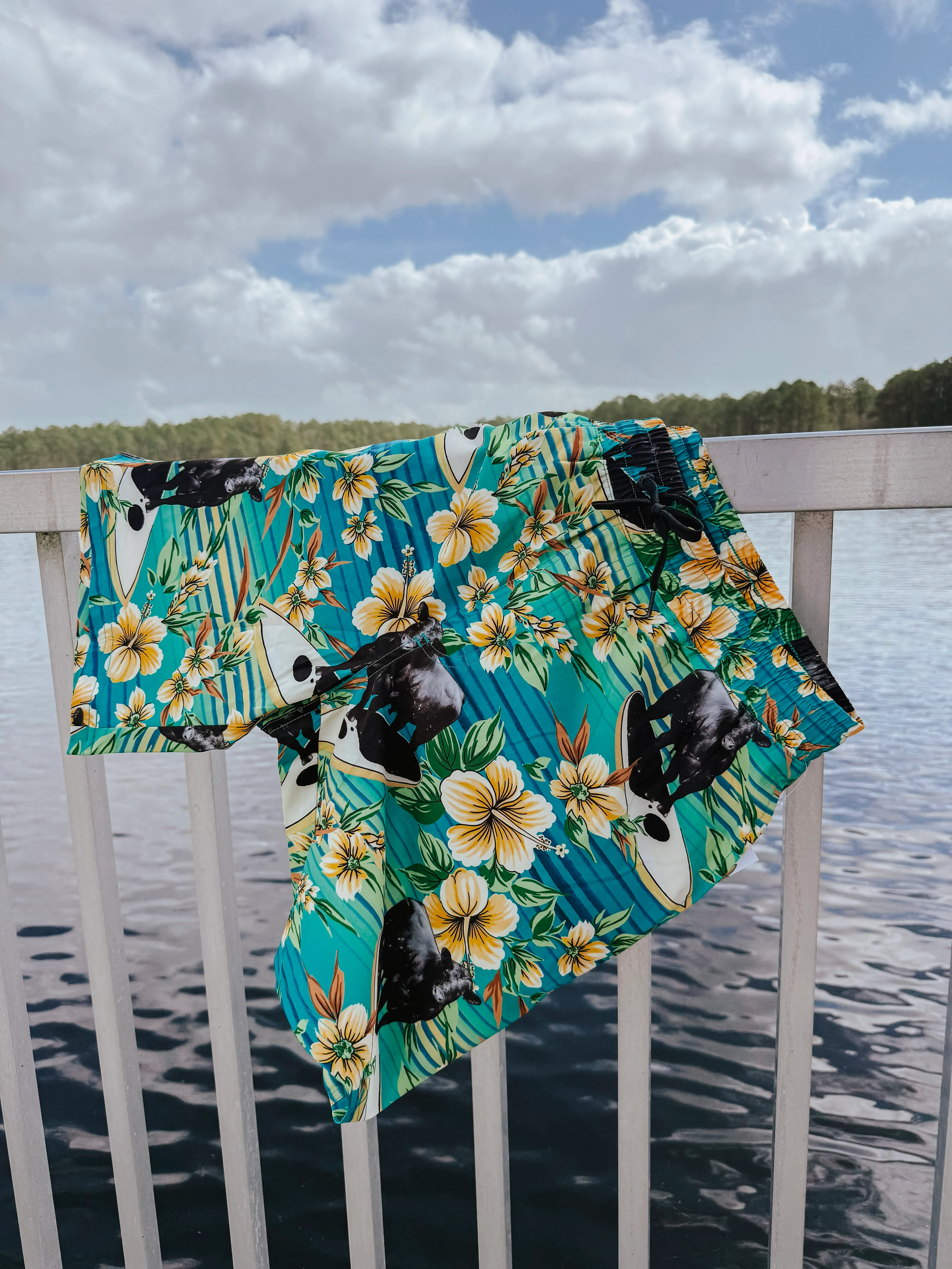 Cinch Men's Cow Surfer Swim Trunks