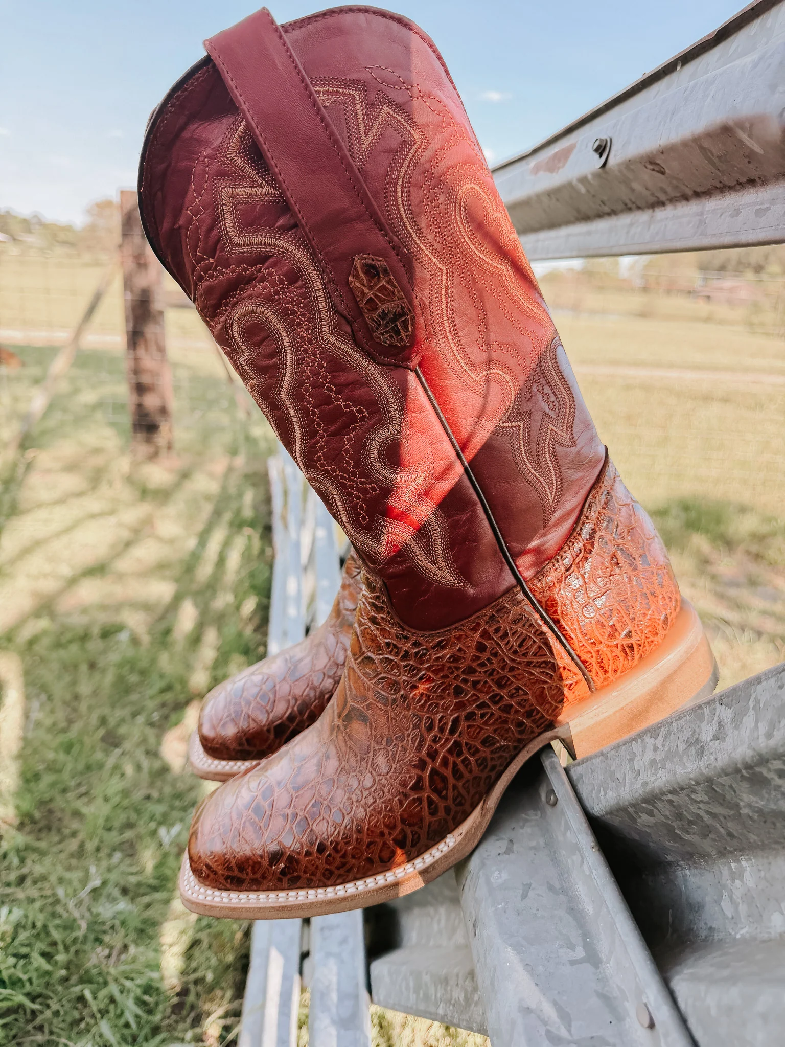 Men's Cowtown Cognac Sea Turtle Print Leather Boots - Image 3