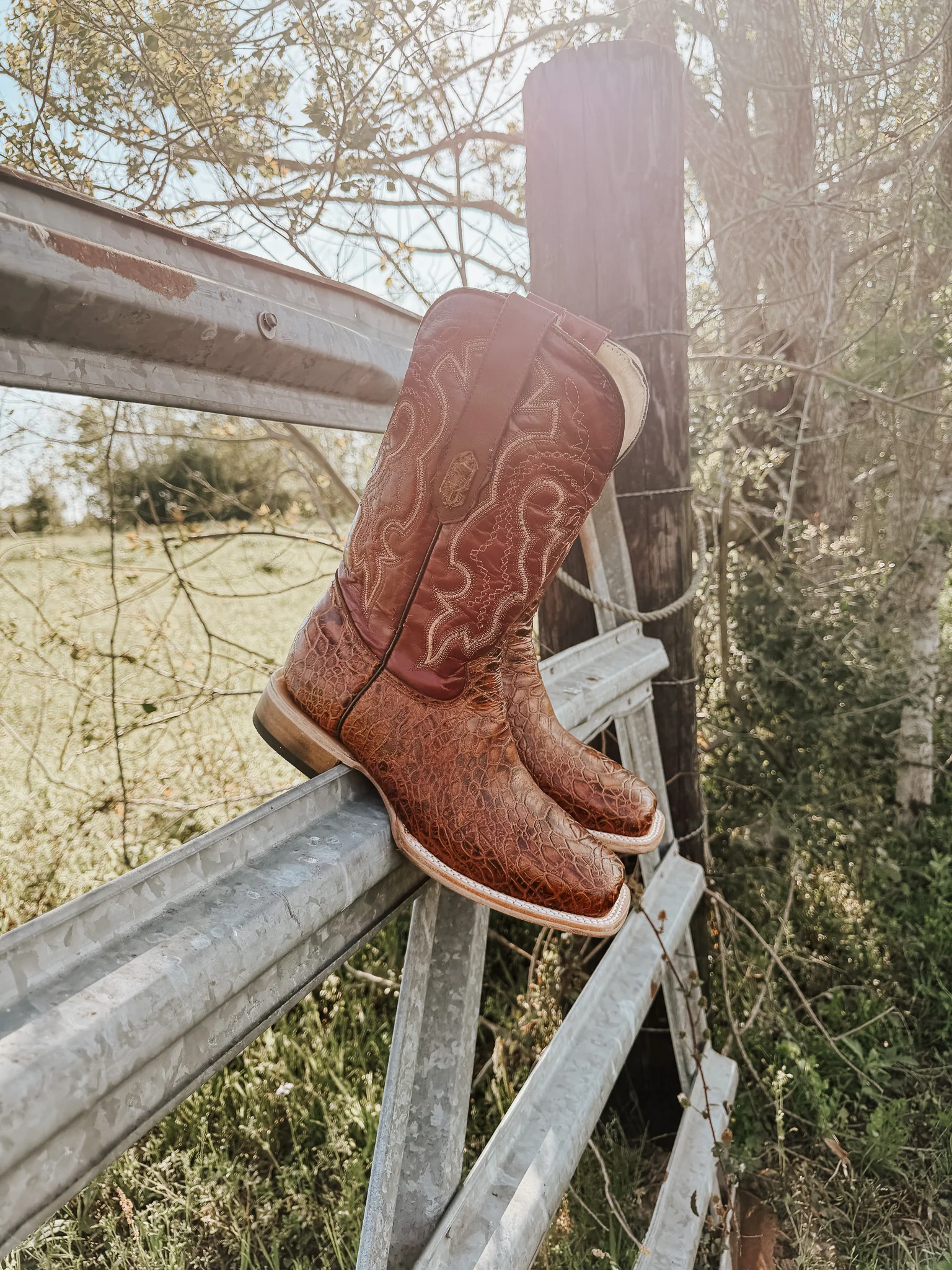 Men's Cowtown Cognac Sea Turtle Print Leather Boots - Image 8