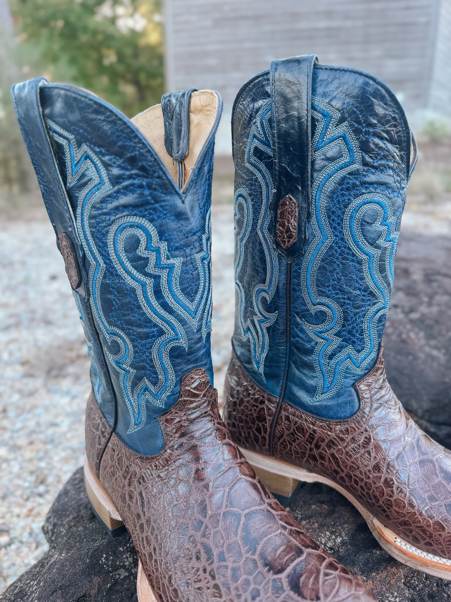 Men's Cowtown Brown Sea Turtle Print Leather Boots - Image 5