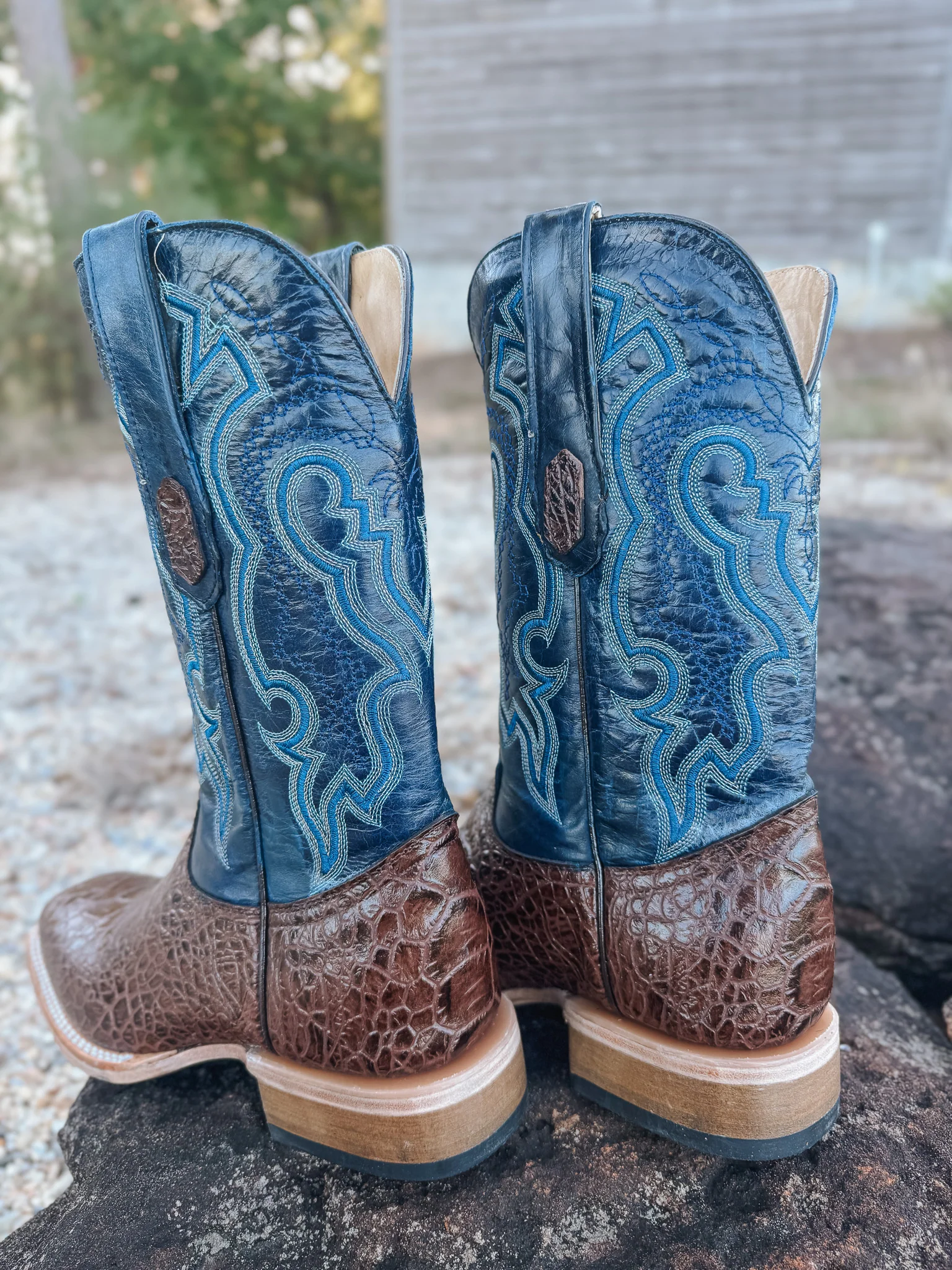 Men's Cowtown Brown Sea Turtle Print Leather Boots - Image 6