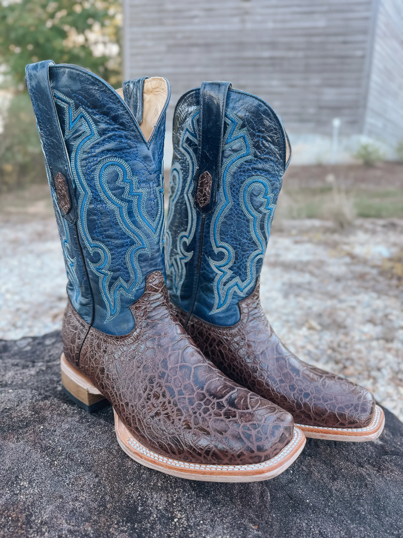 Men's Cowtown Brown Sea Turtle Print Leather Boots - Image 8