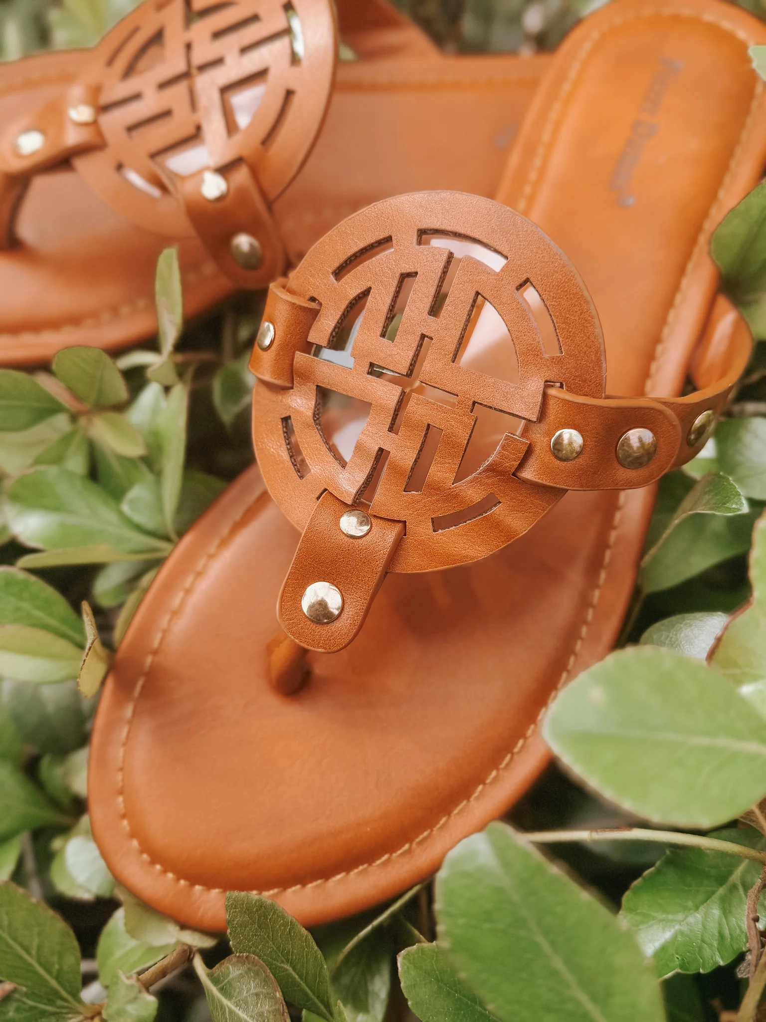 Canyon Cutie Sandal - Image 2