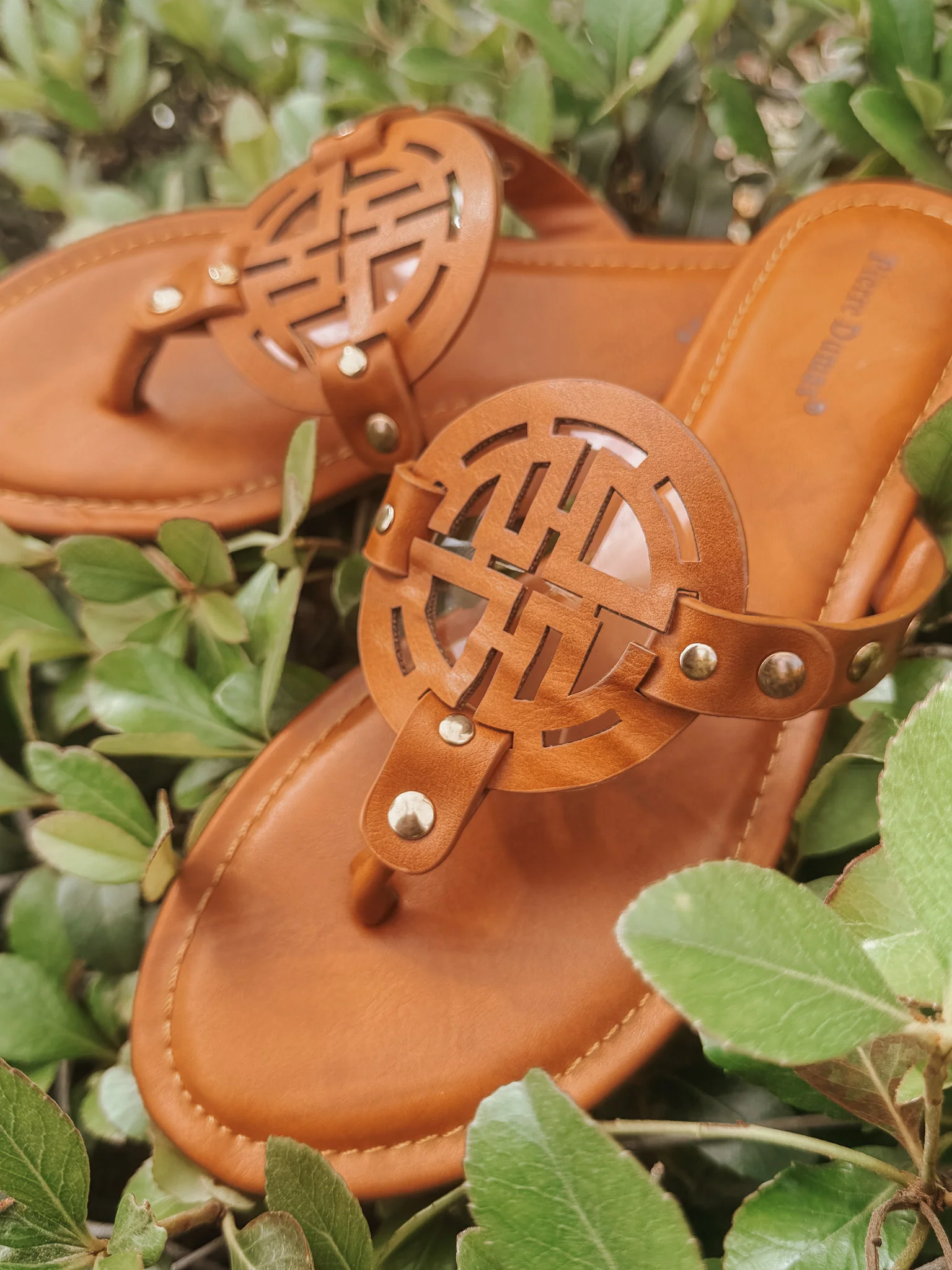 Canyon Cutie Sandal - Image 7