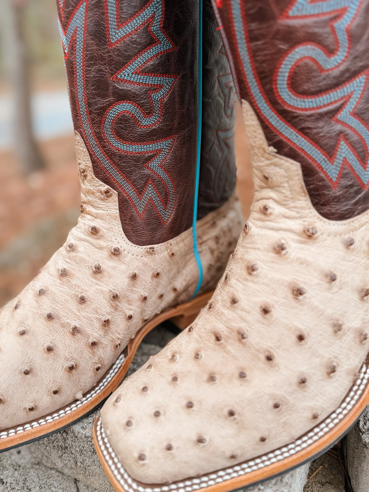 Men's Horse Power Bruciato Ostrich Boots - Image 3