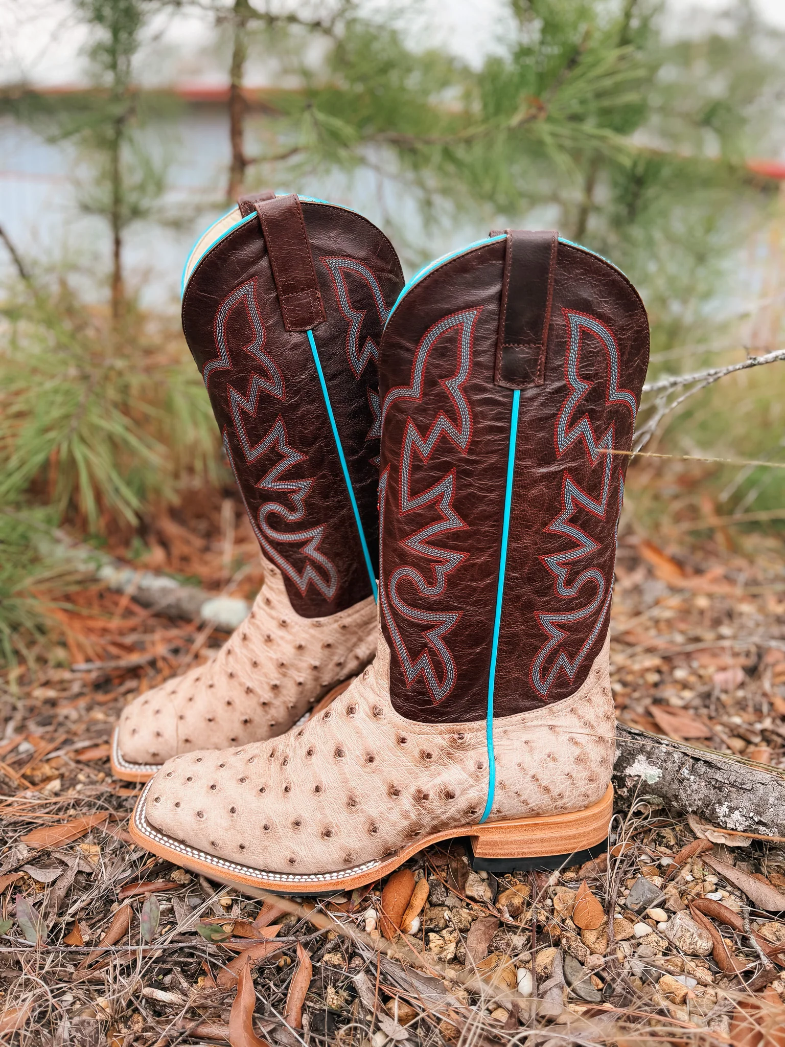Men's Horse Power Bruciato Ostrich Boots - Image 4