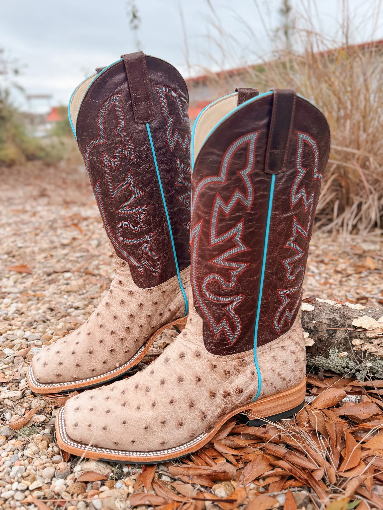 Men's Horse Power Bruciato Ostrich Boots - Image 8