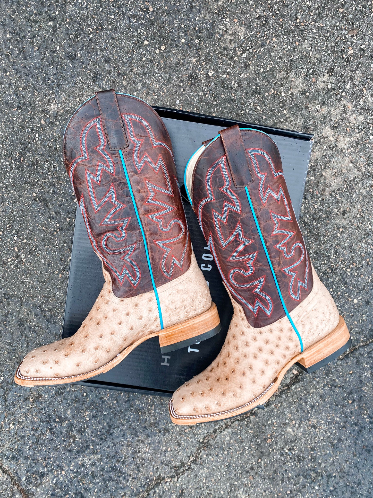 Men's Horse Power Bruciato Ostrich Boots - Image 9