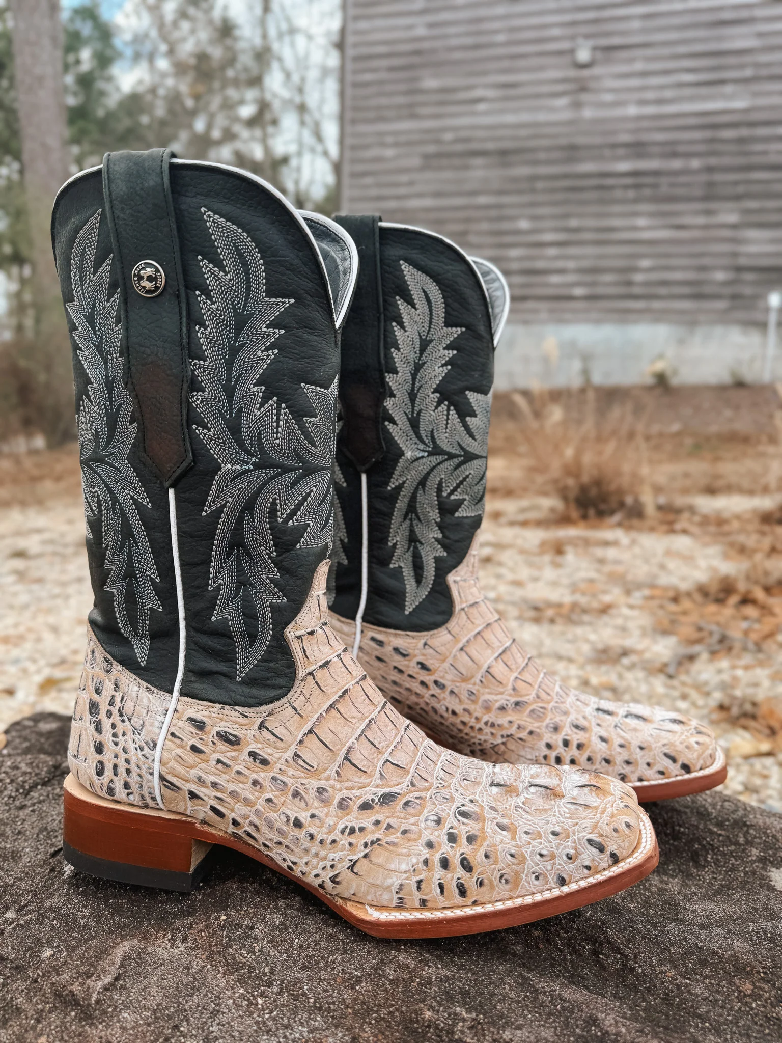 Tanner Mark Men's Caiman Hornback Print Square Toe Boots in Natural - Image 3